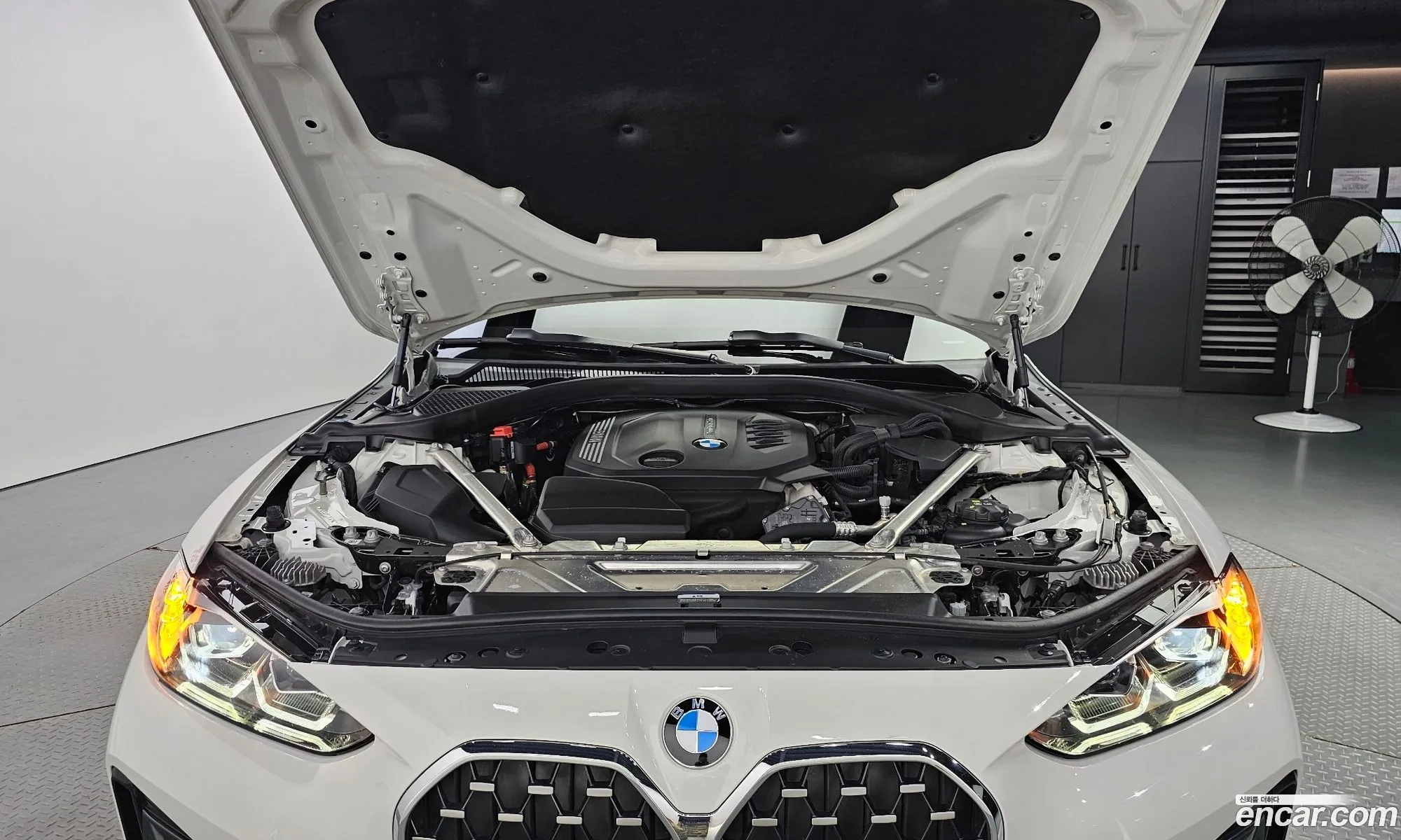 BMW 4 Series 2023 WBA21AX0XPFP30021 — 15