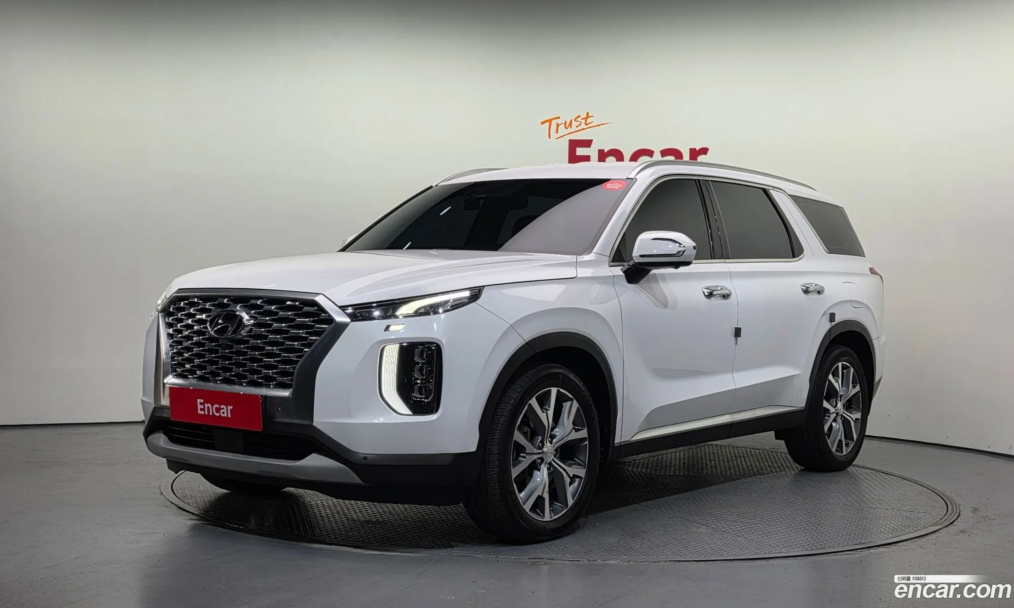 Hyundai Palisade 2020 — 11