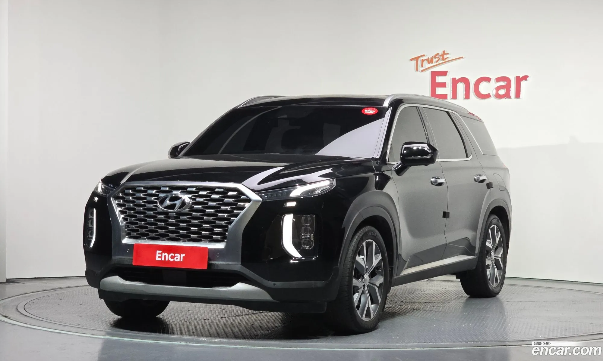Hyundai Palisade 2020 — 14
