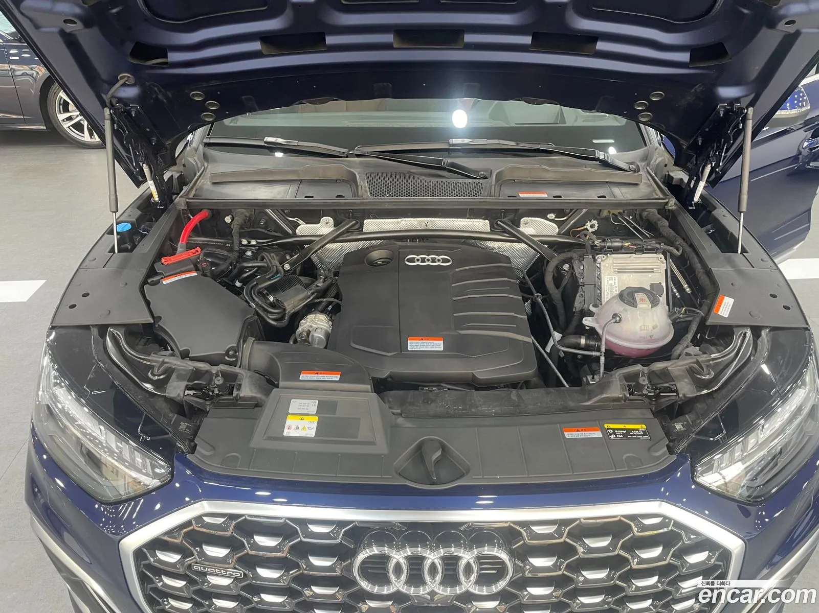 Audi Q5 2023 — 2