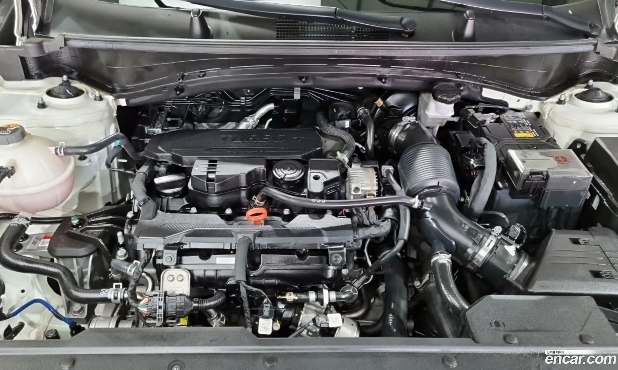 Kia Sportage 2024 — 3