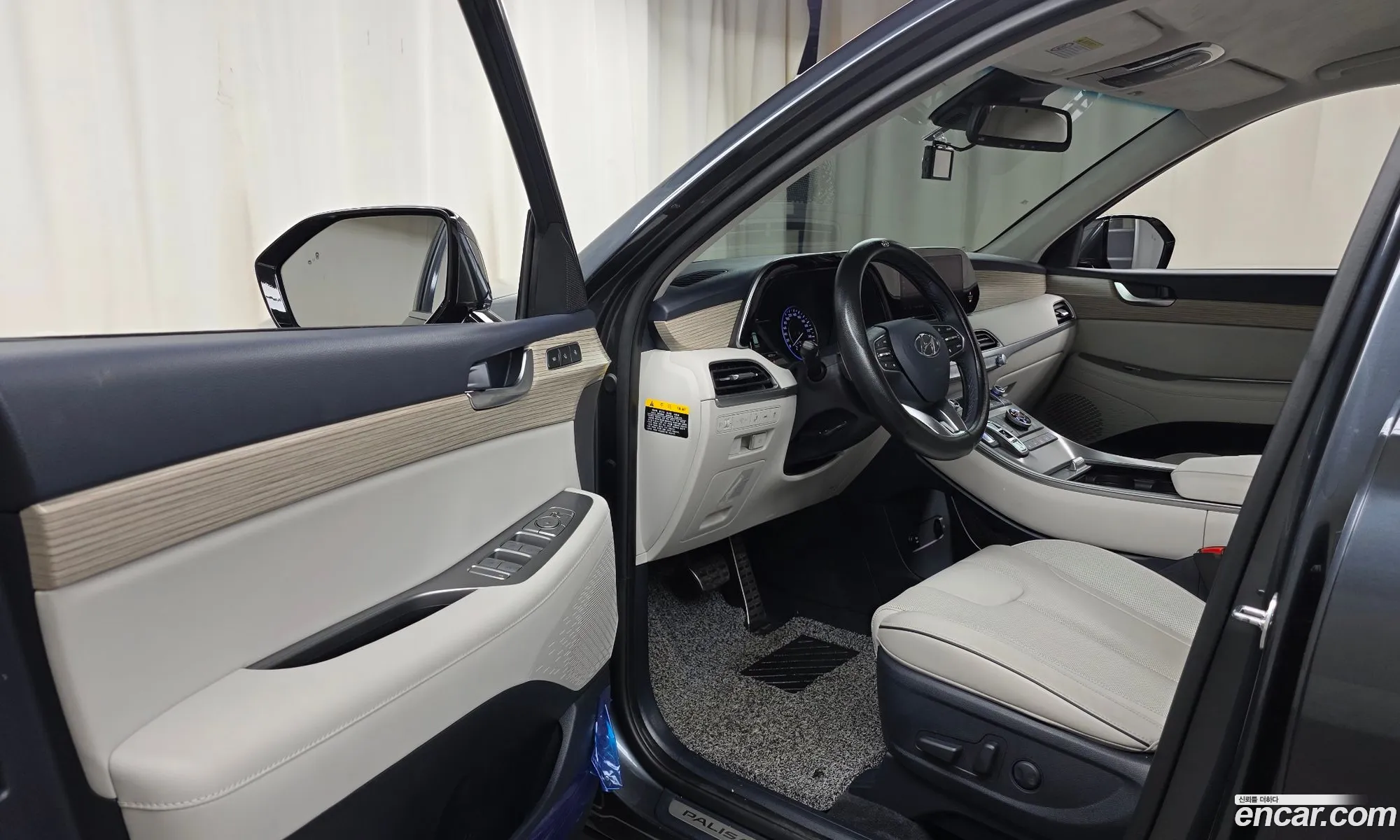 Hyundai Palisade 2019 — 17
