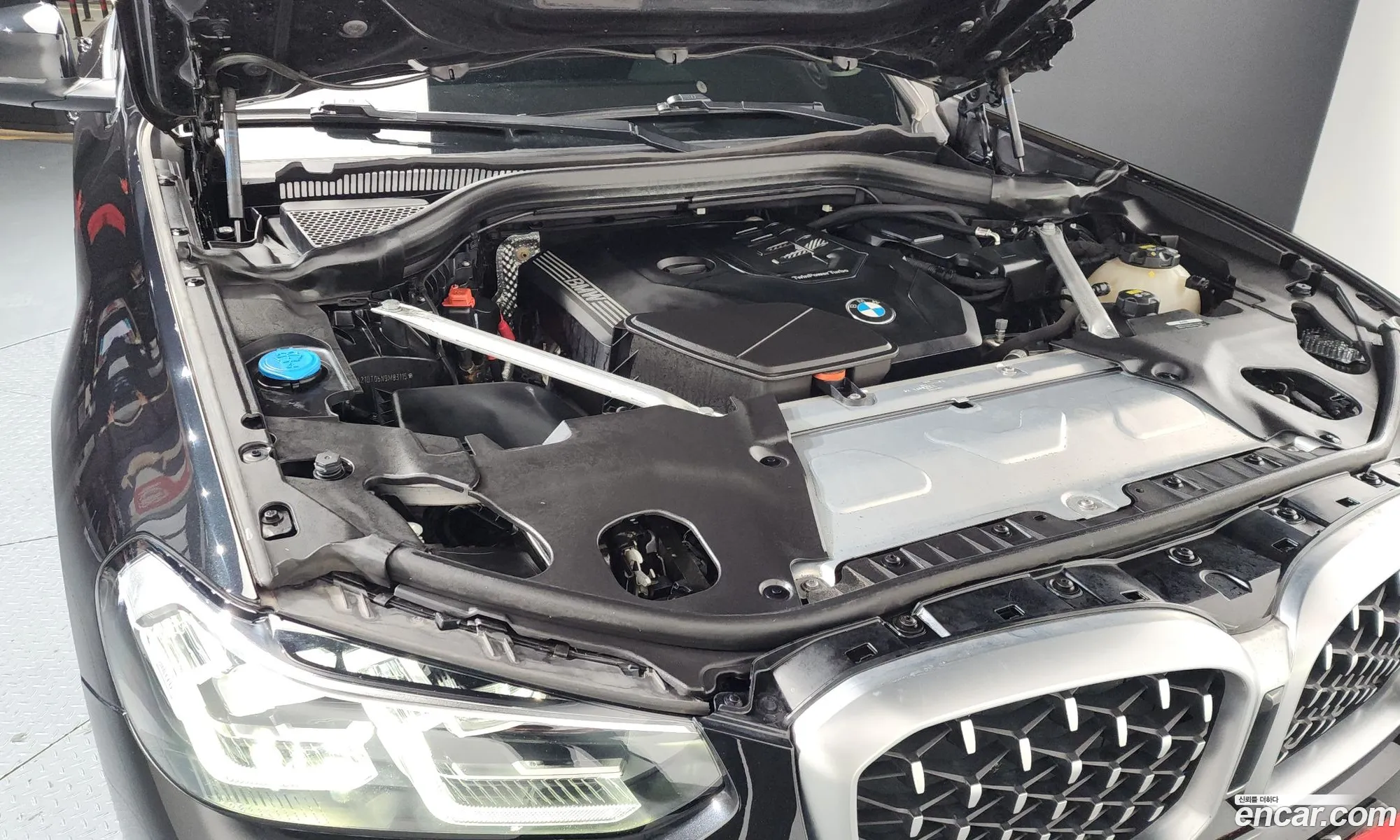 BMW X4 2022 WBA21DT06N9M83115 — 6