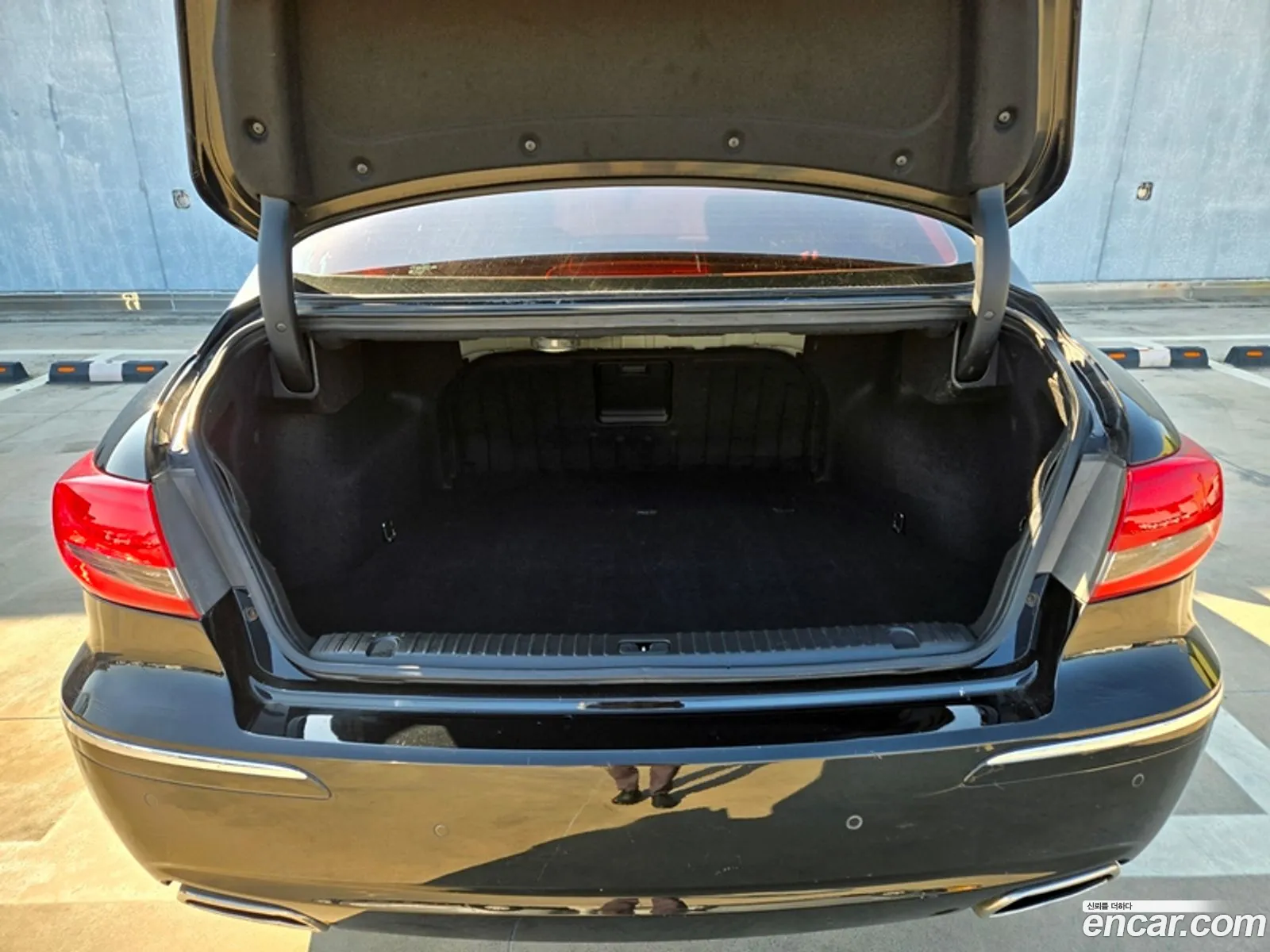 Hyundai The Luxury Grandeur 2010 — 12