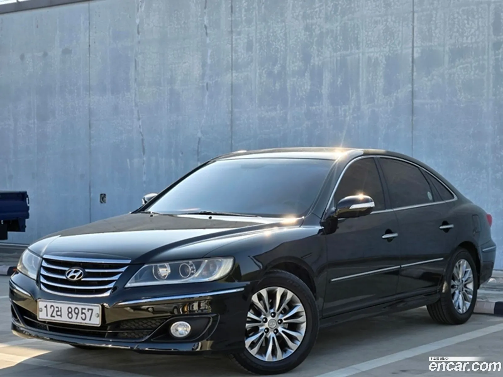 Hyundai The Luxury Grandeur 2010 — 3