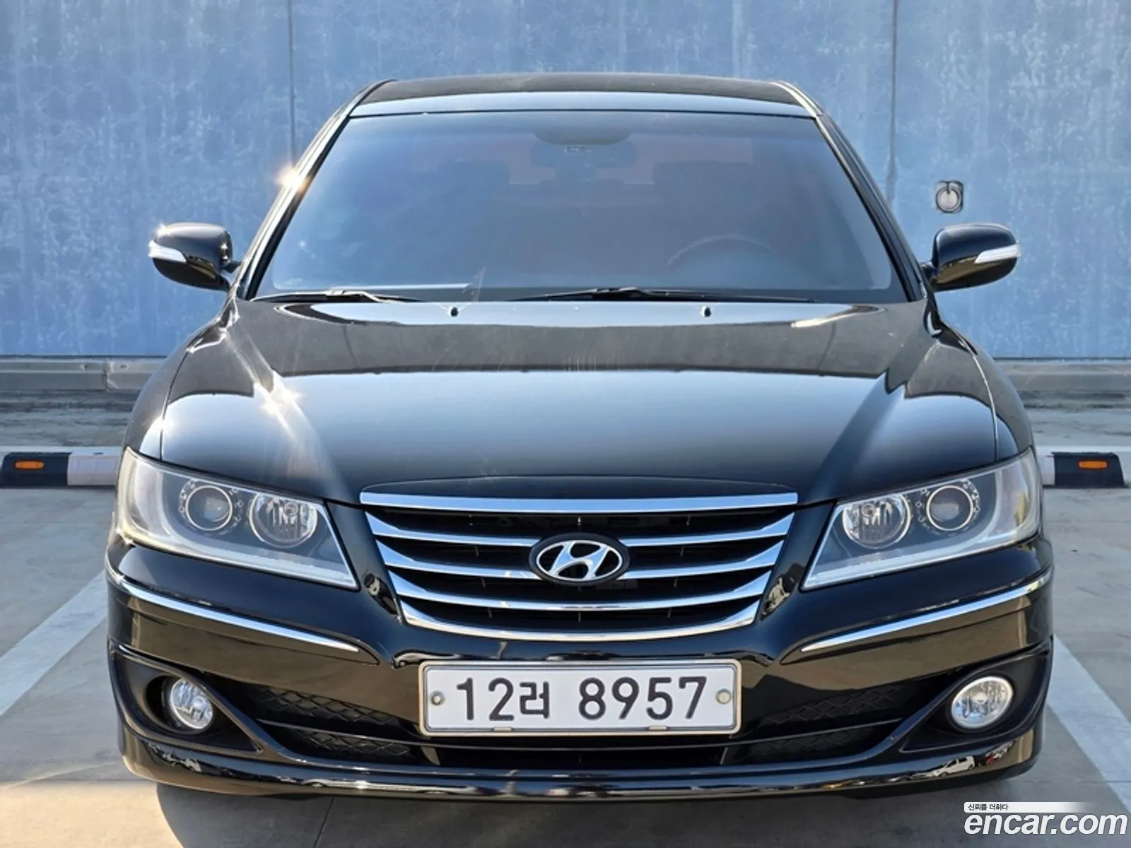 Hyundai The Luxury Grandeur 2010 — 11