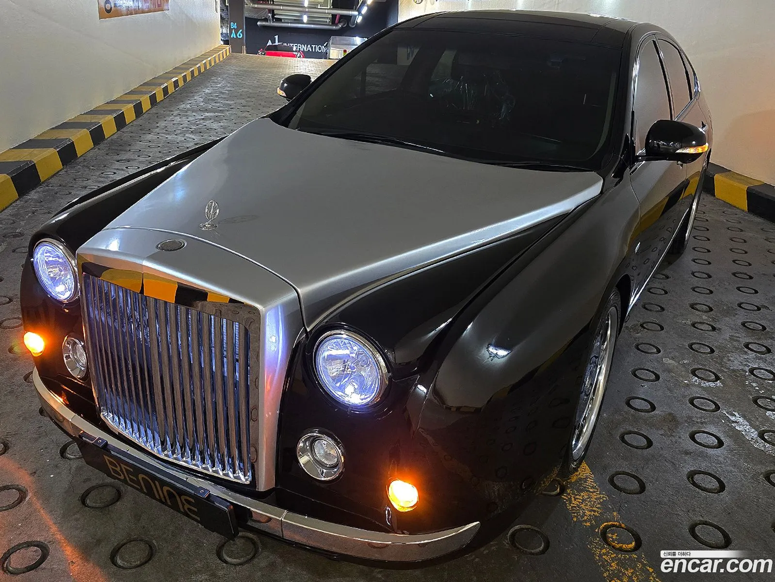 Mitsuoka Karyu 2012 — 4