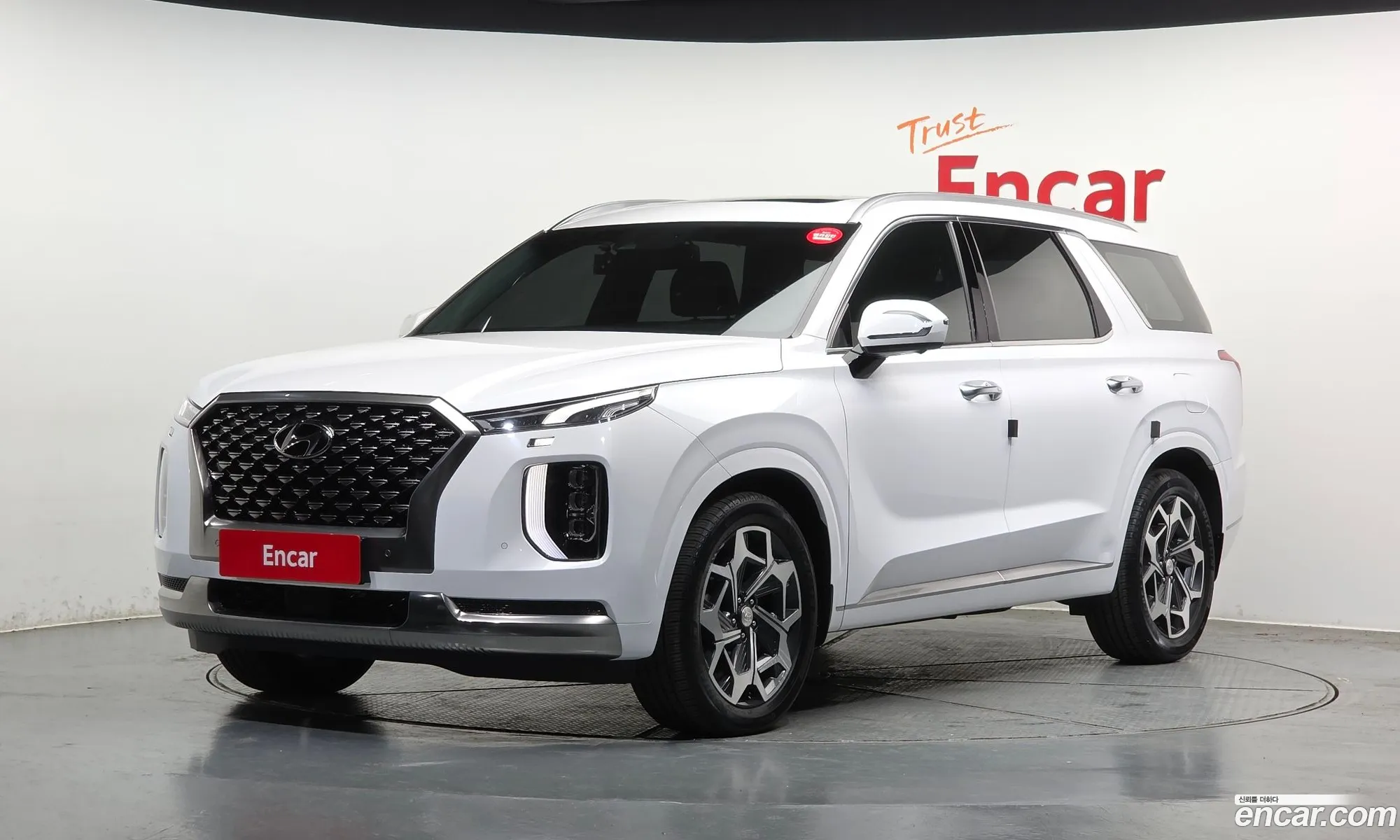 Hyundai Palisade 2021 — 14
