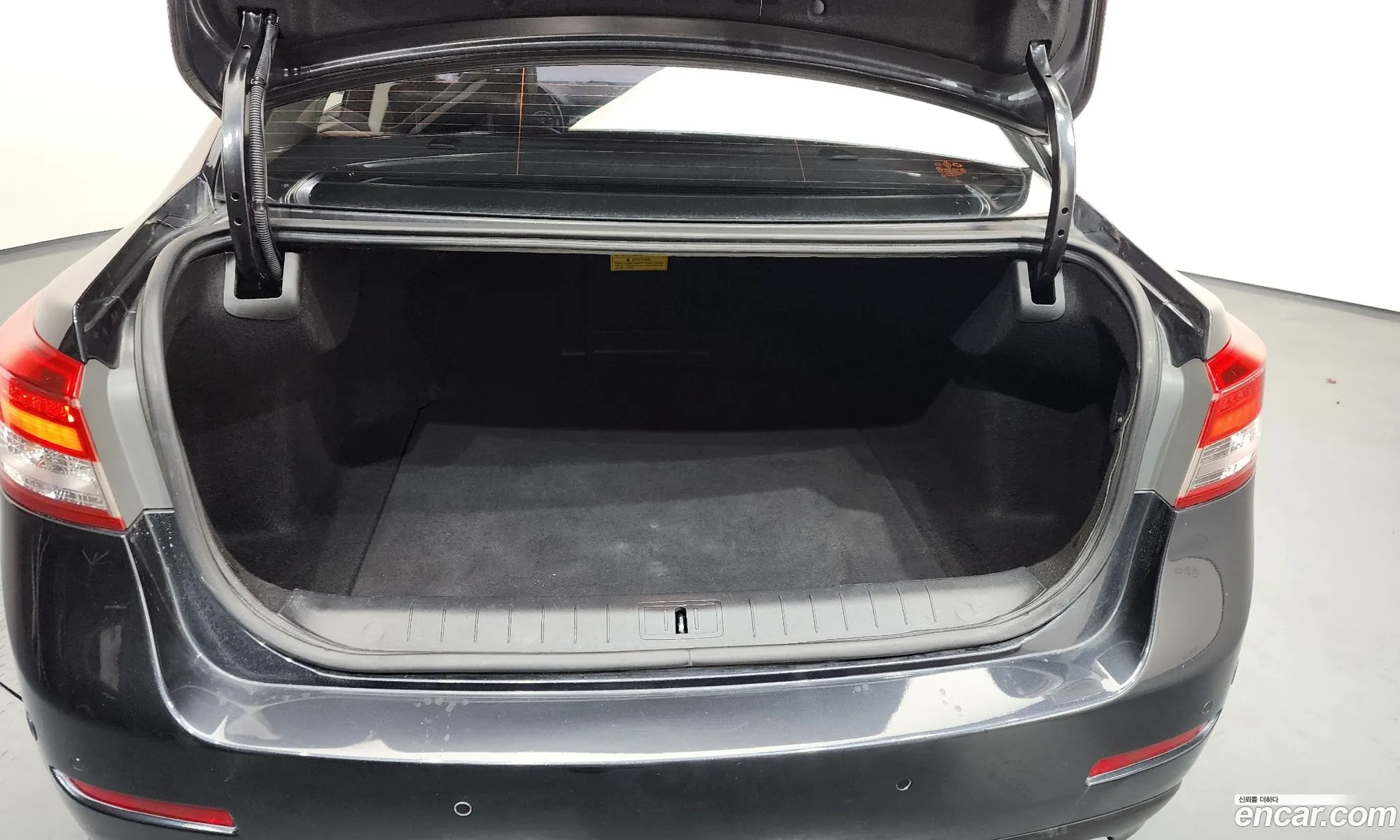 Renault Korea (Samsung) SM5 Platinum 2014 — 7