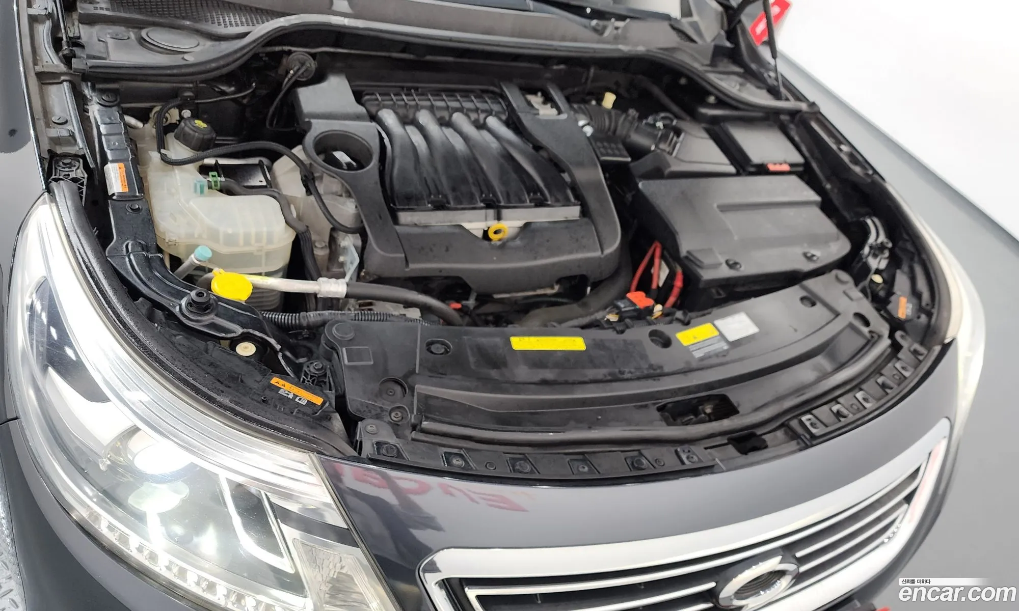 Renault Korea (Samsung) SM5 Platinum 2014 — 18