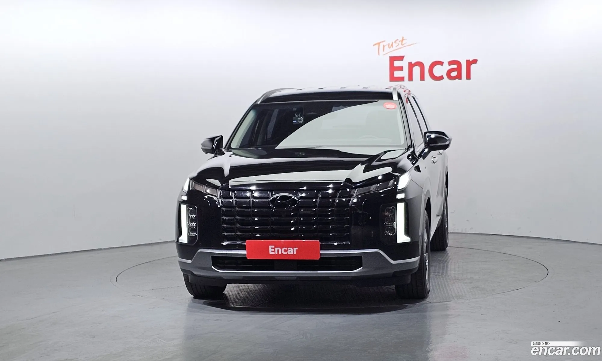 Hyundai Palisade 2023 — 8