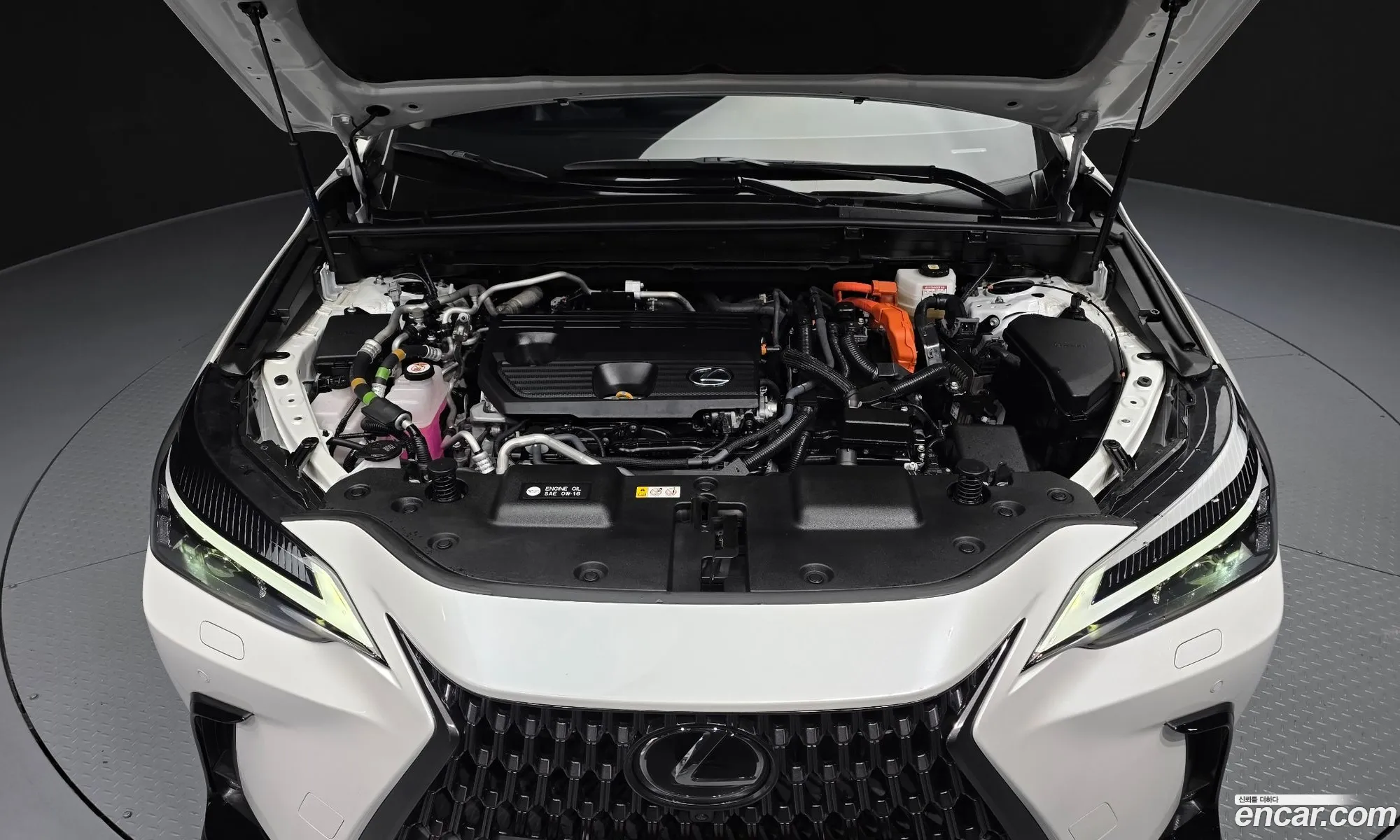 Lexus NX450h+ 2024 — 11