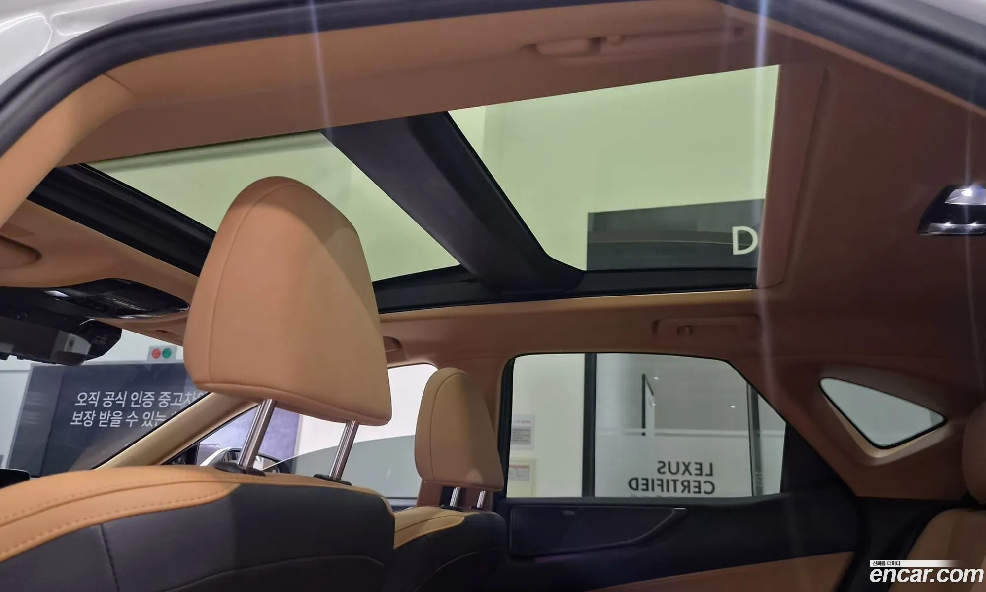 Lexus NX350h 2023 — 6