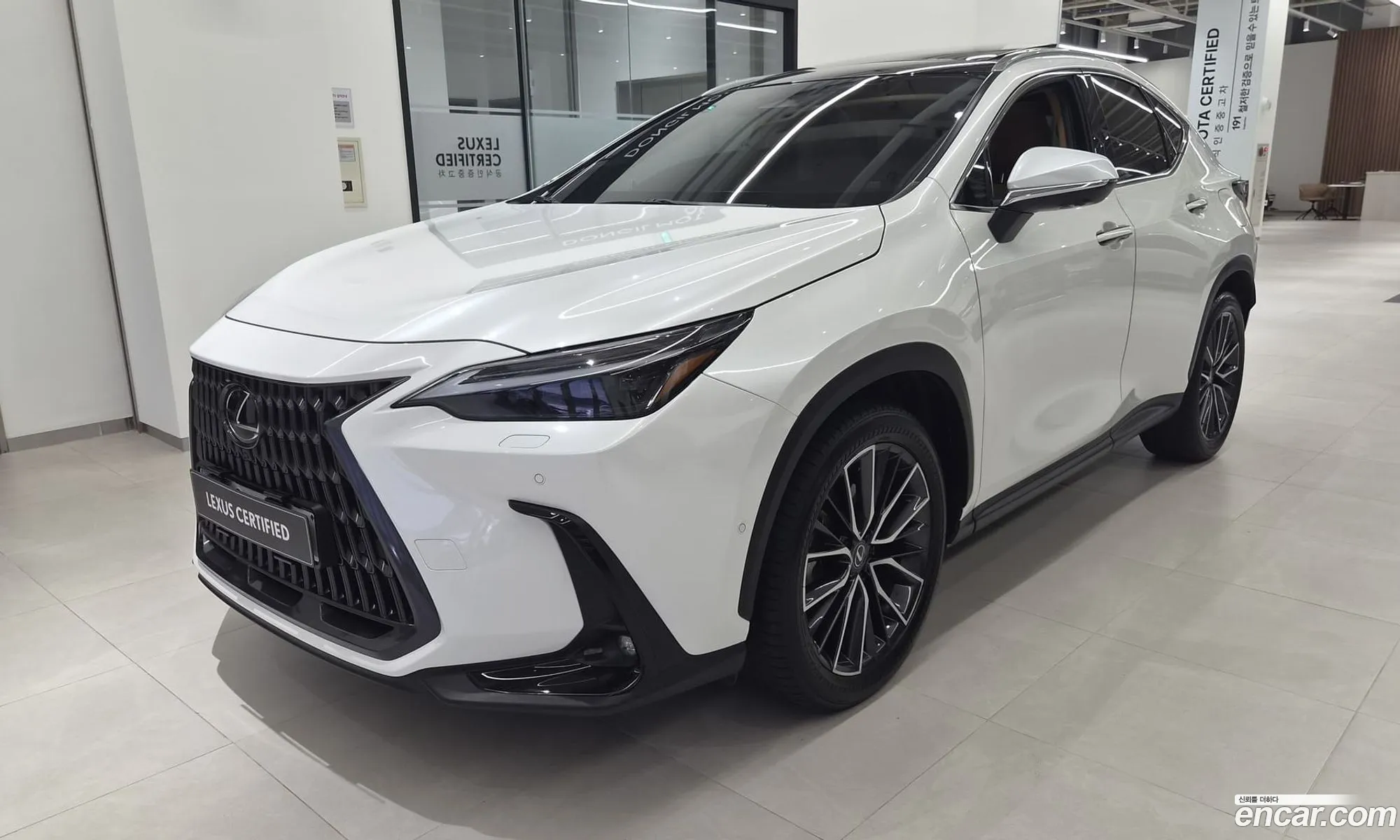 Lexus NX350h 2023 — 20