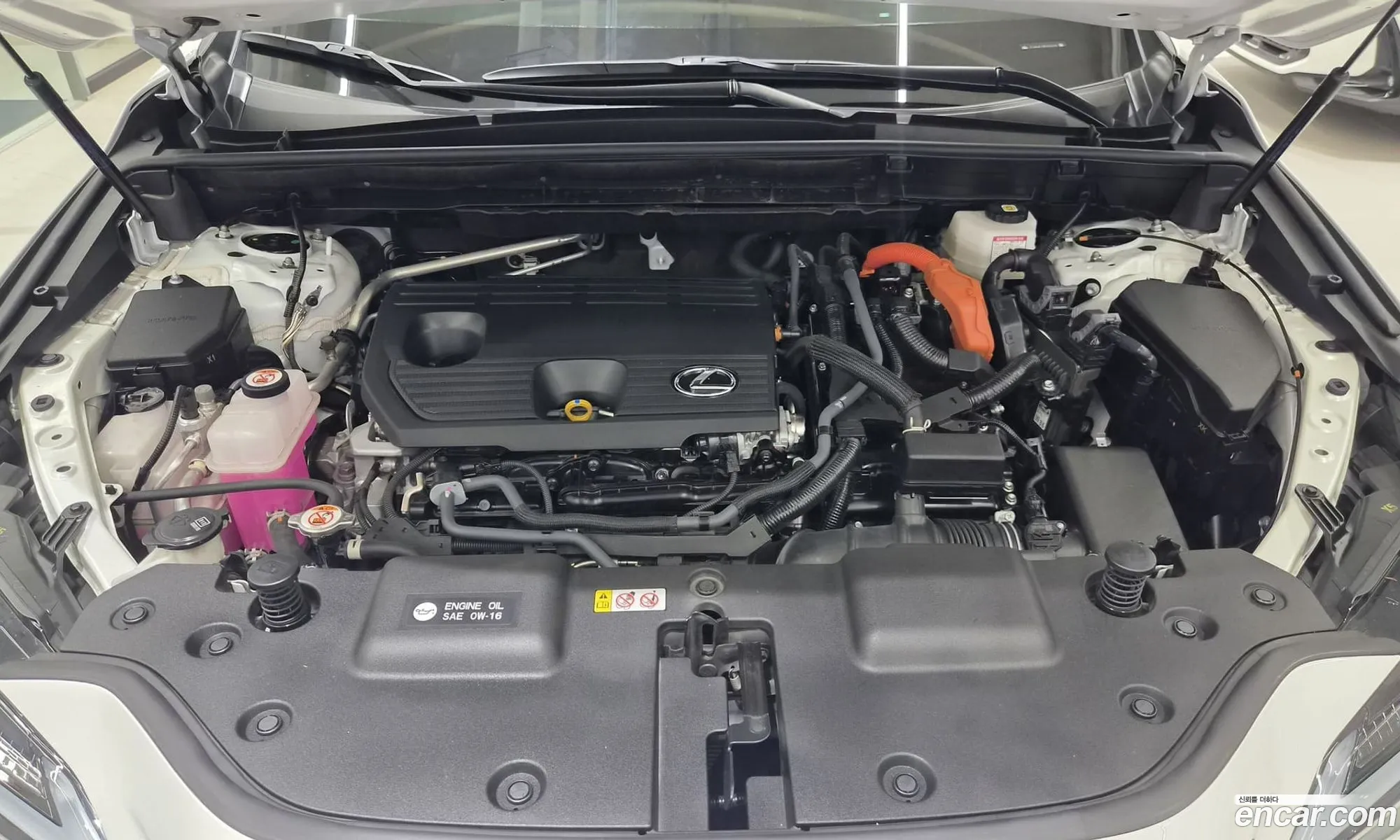 Lexus NX350h 2023 — 19
