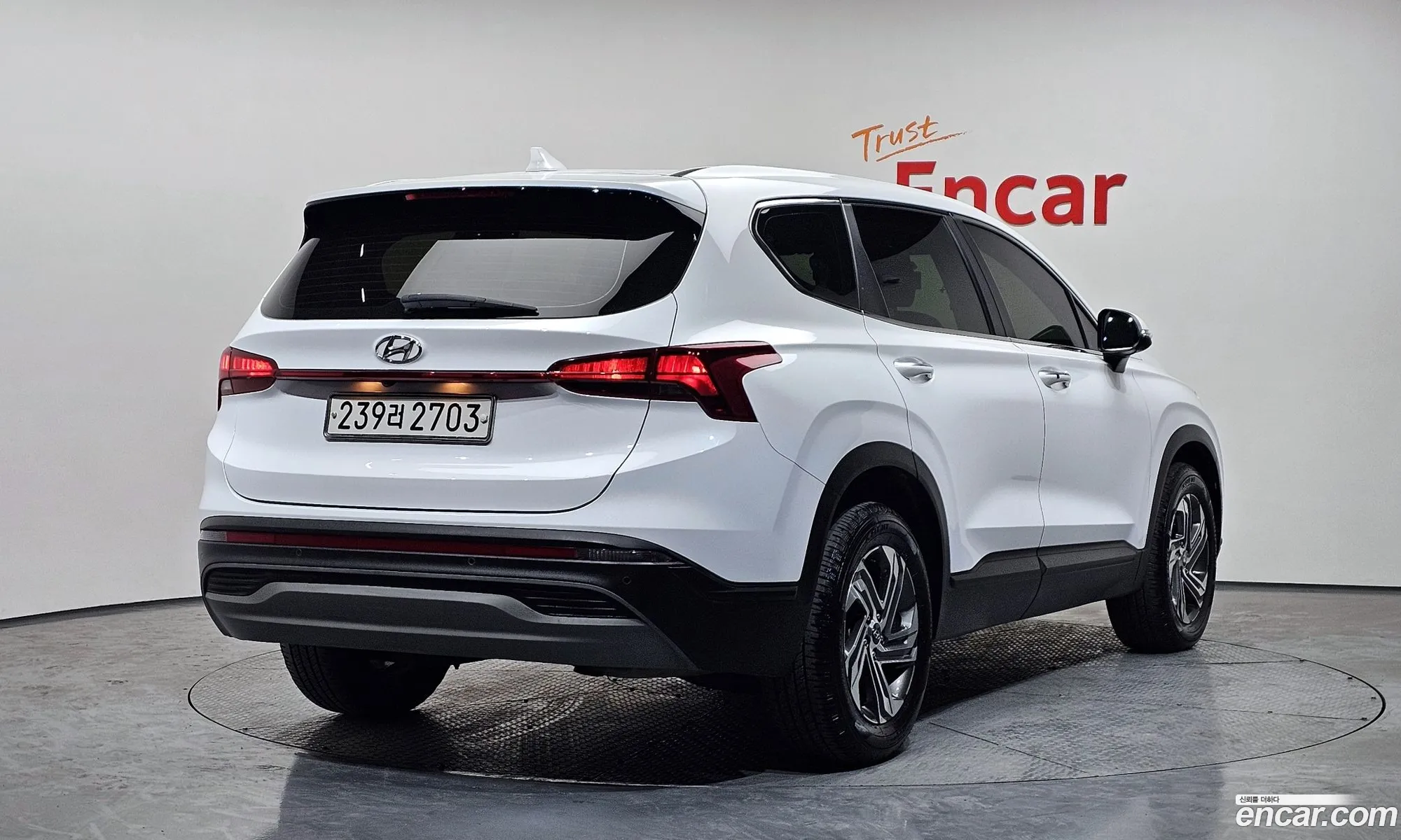 Hyundai Santa Fe 2021 — 19