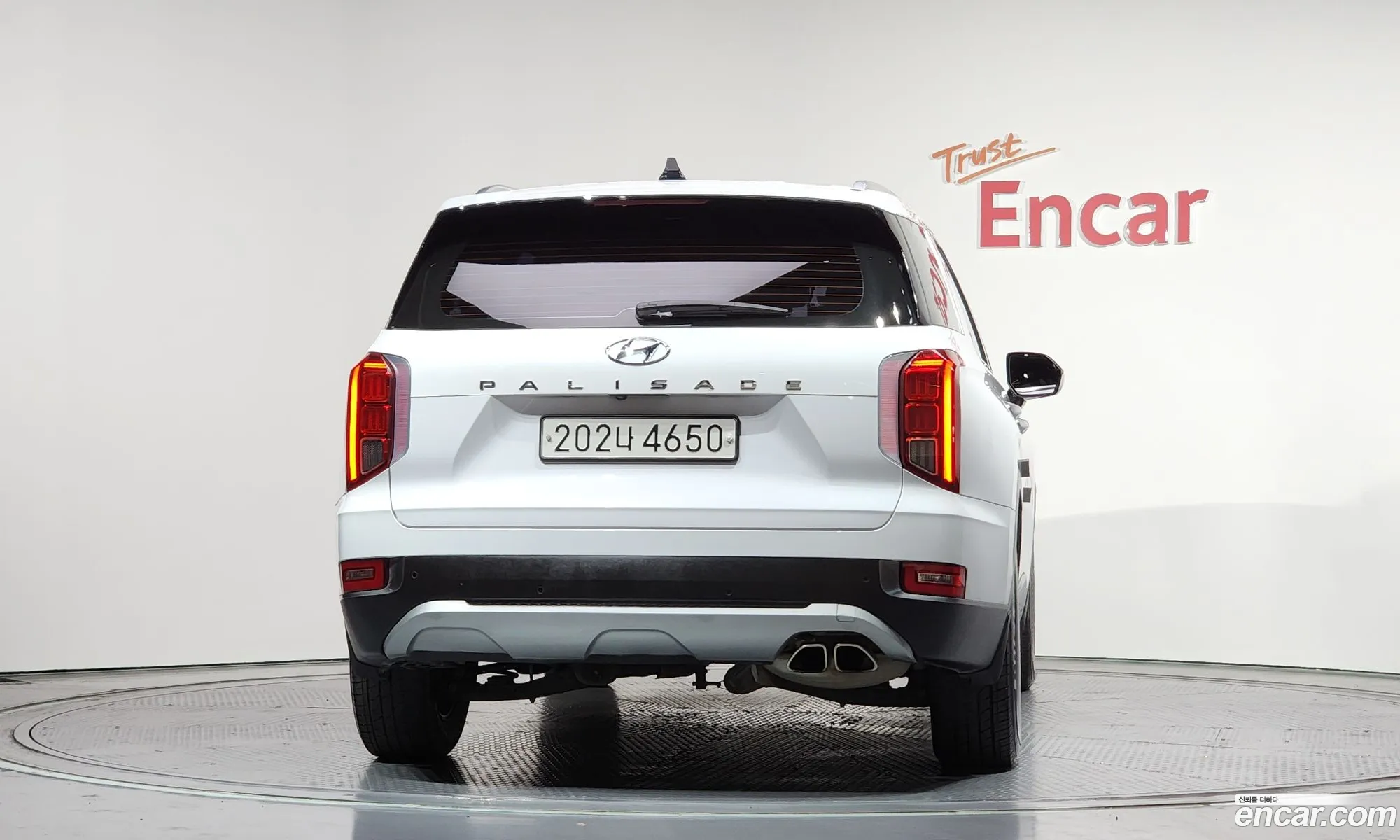Hyundai Palisade 2019 KMHR281EBKU002878 — 10