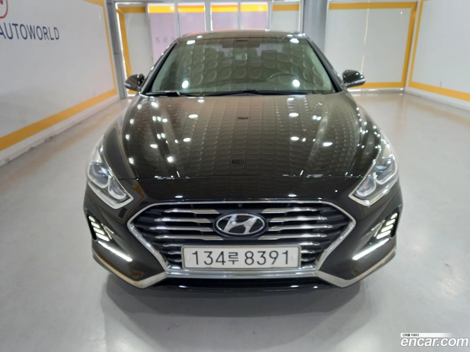 Hyundai Sonata New Rise Hybrid 2017 — 17