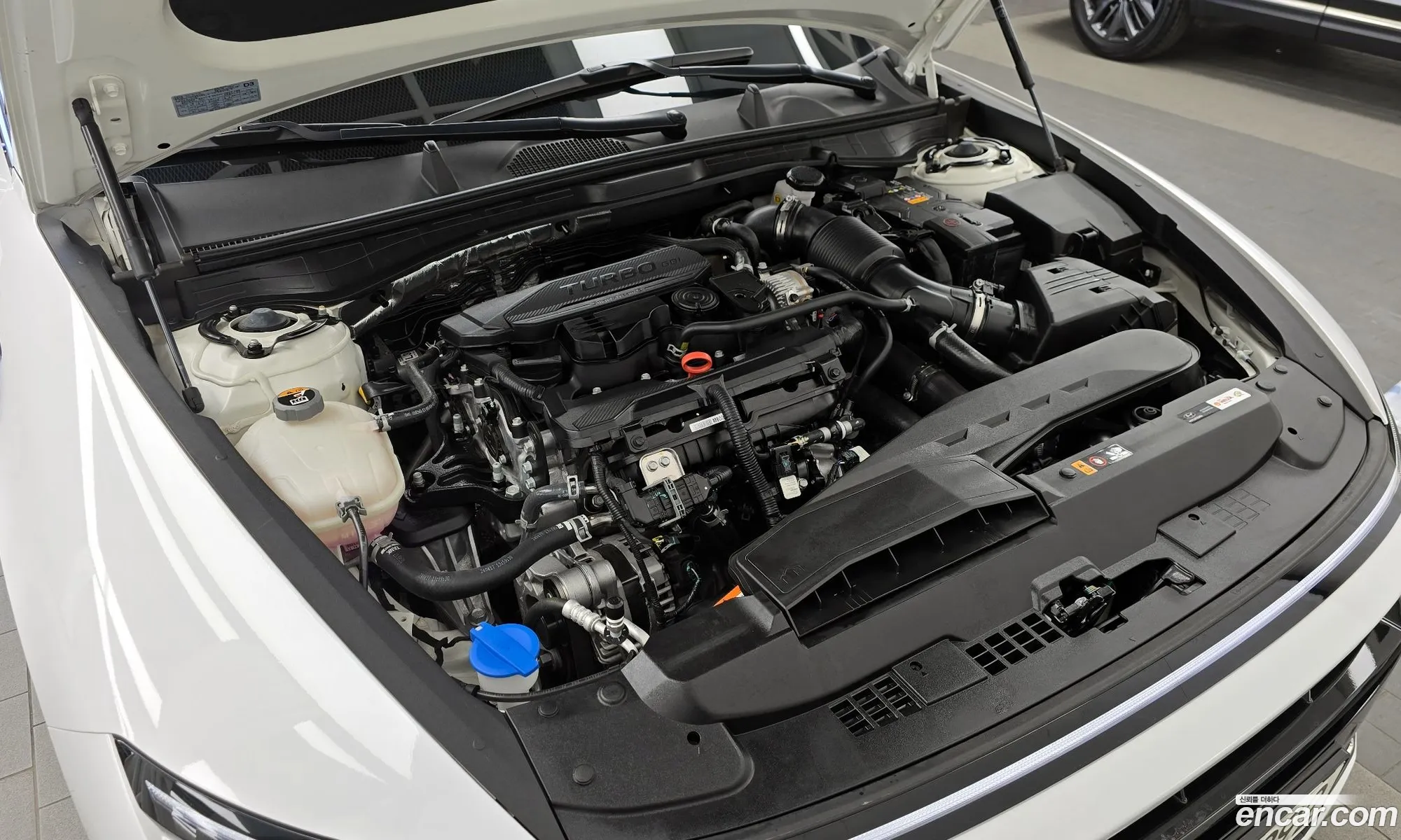 Hyundai Sonata the Edge 2024 — 8