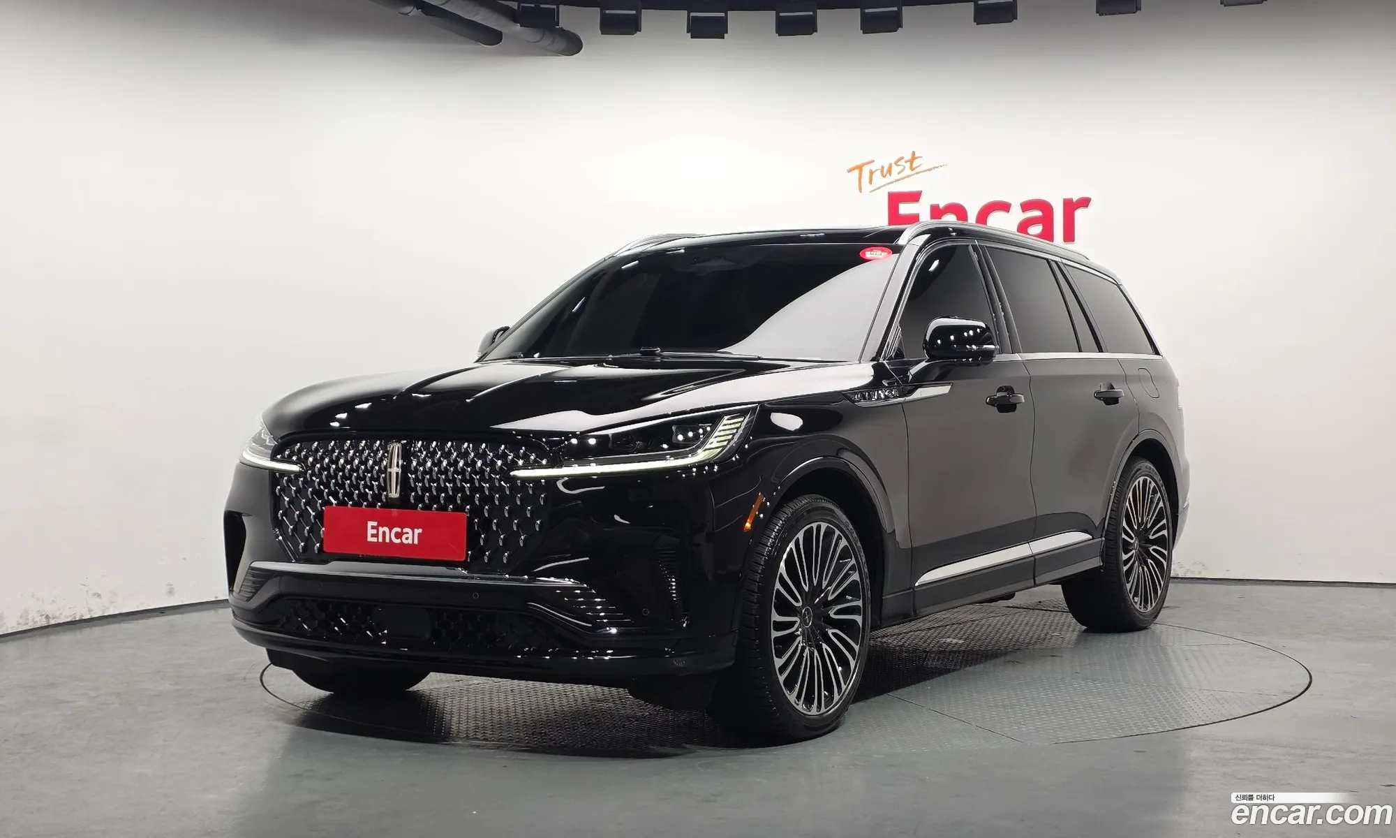 Lincoln Aviator 2025 5LM5J9XC0SGL09493 — 10