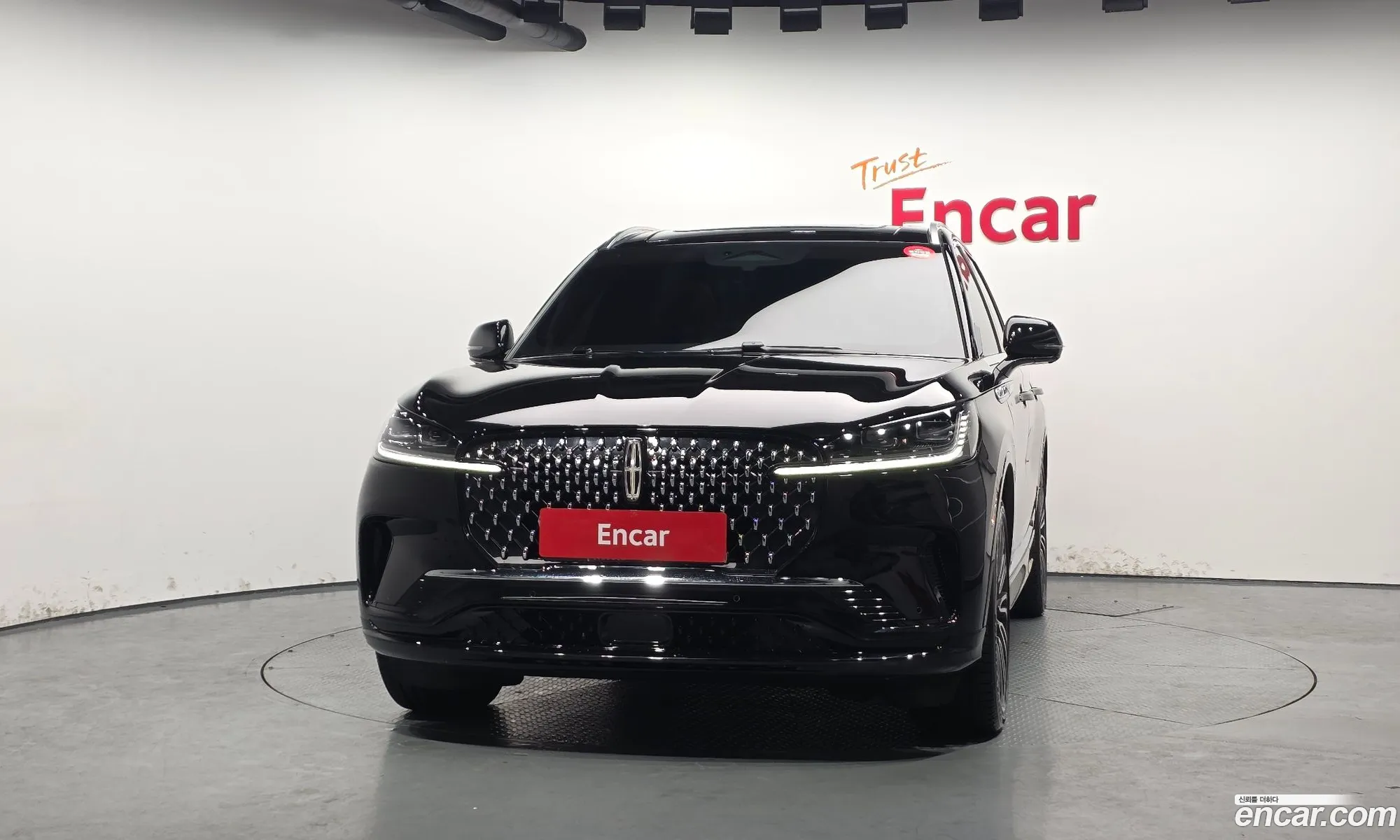 Lincoln Aviator 2025 5LM5J9XC0SGL09493 — 13