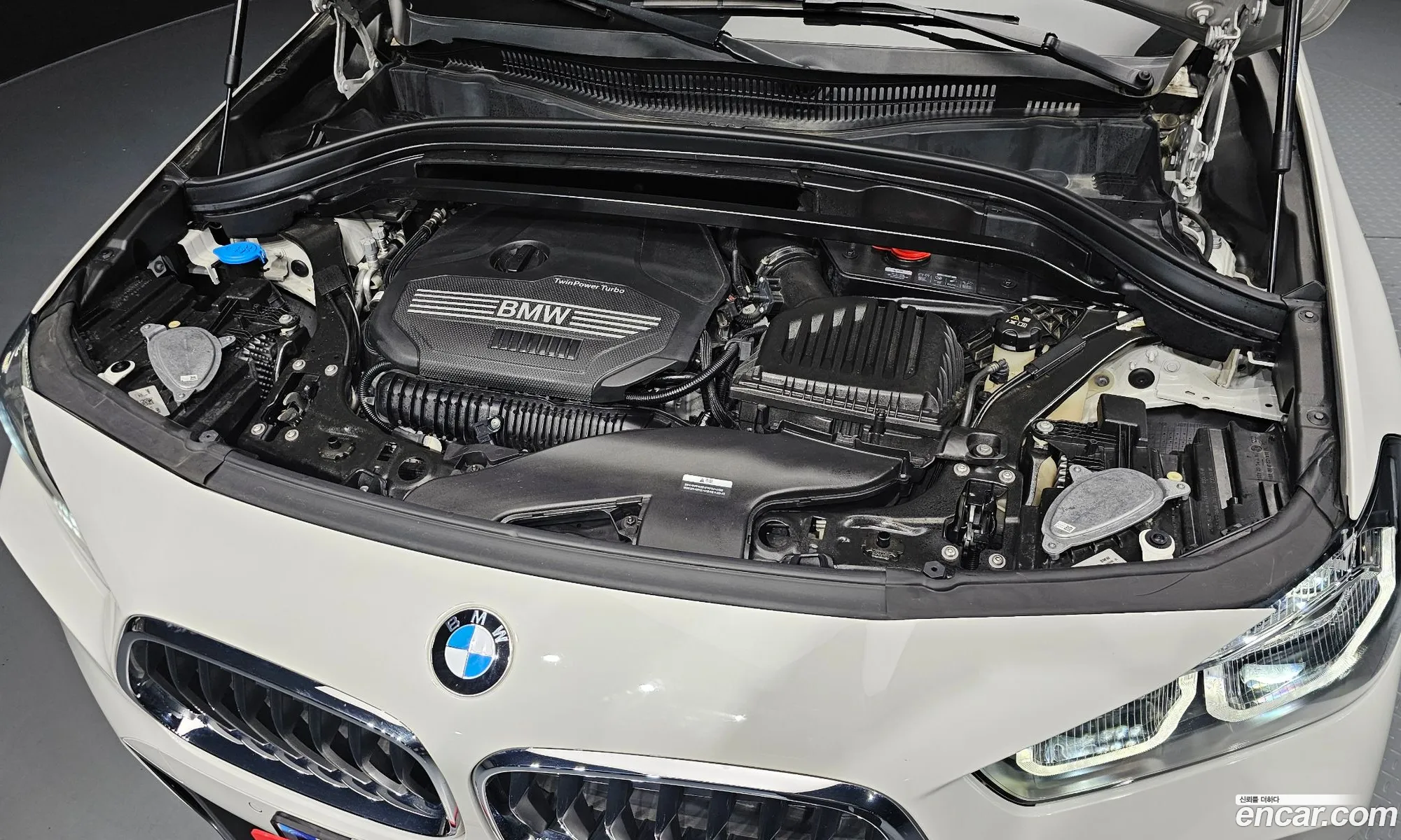 BMW X2 2023 WBA11DF07P5W82014 — 16