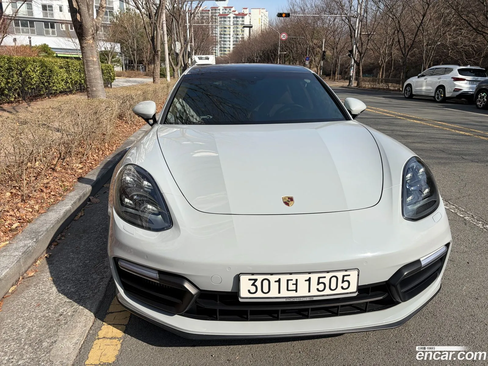 Porsche Panamera 2020 — 4