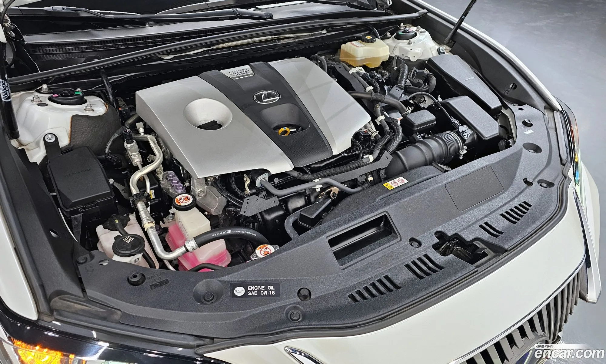Lexus ES300h 7th Gen 2020 — 17