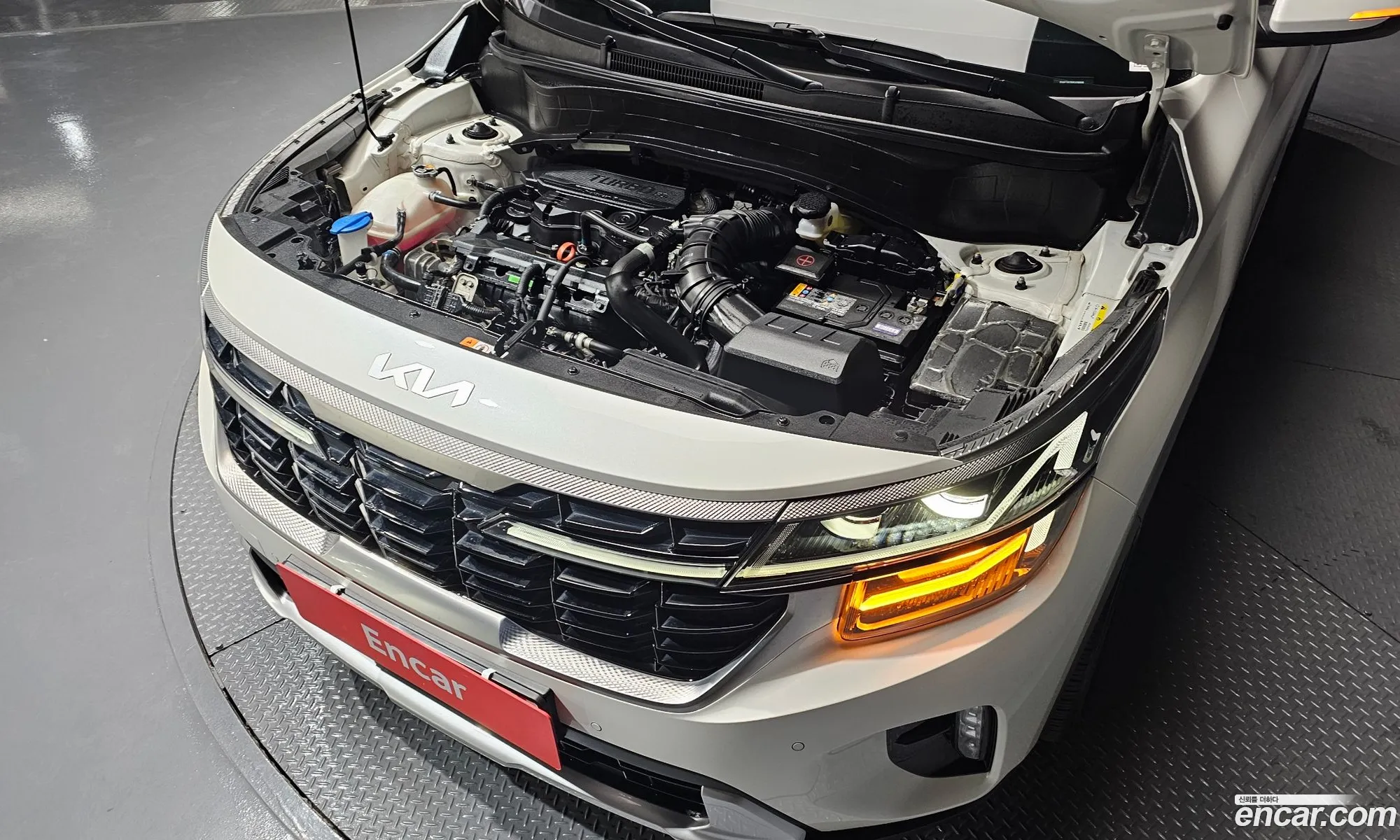 Kia Seltos 2022 — 5
