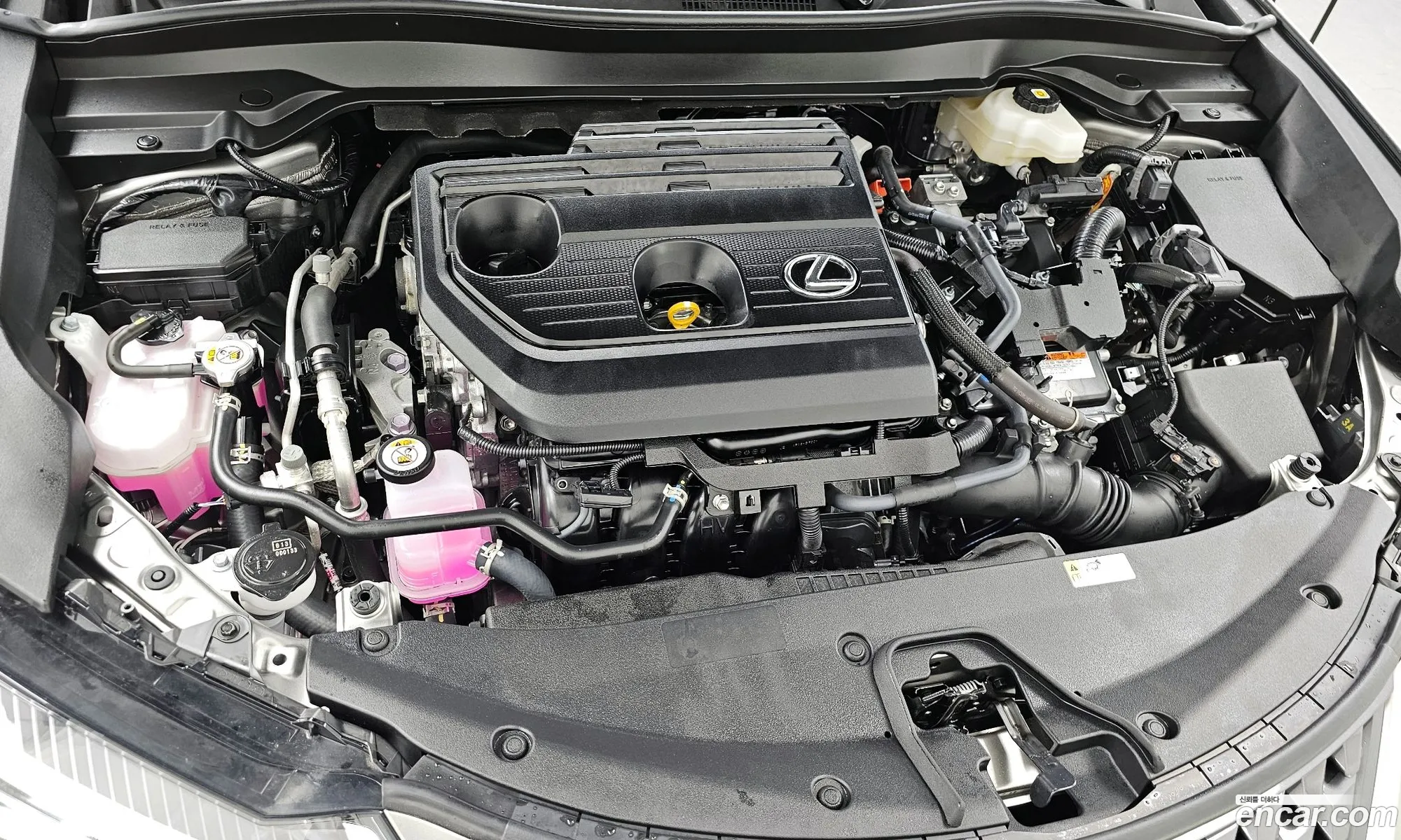 Lexus UX300h 2025 JTHYBJAH9S2020583 — 3