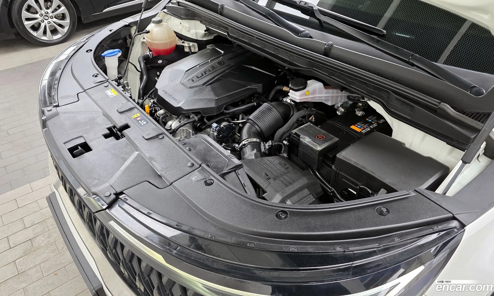 Kia Carnival 2024 — 2