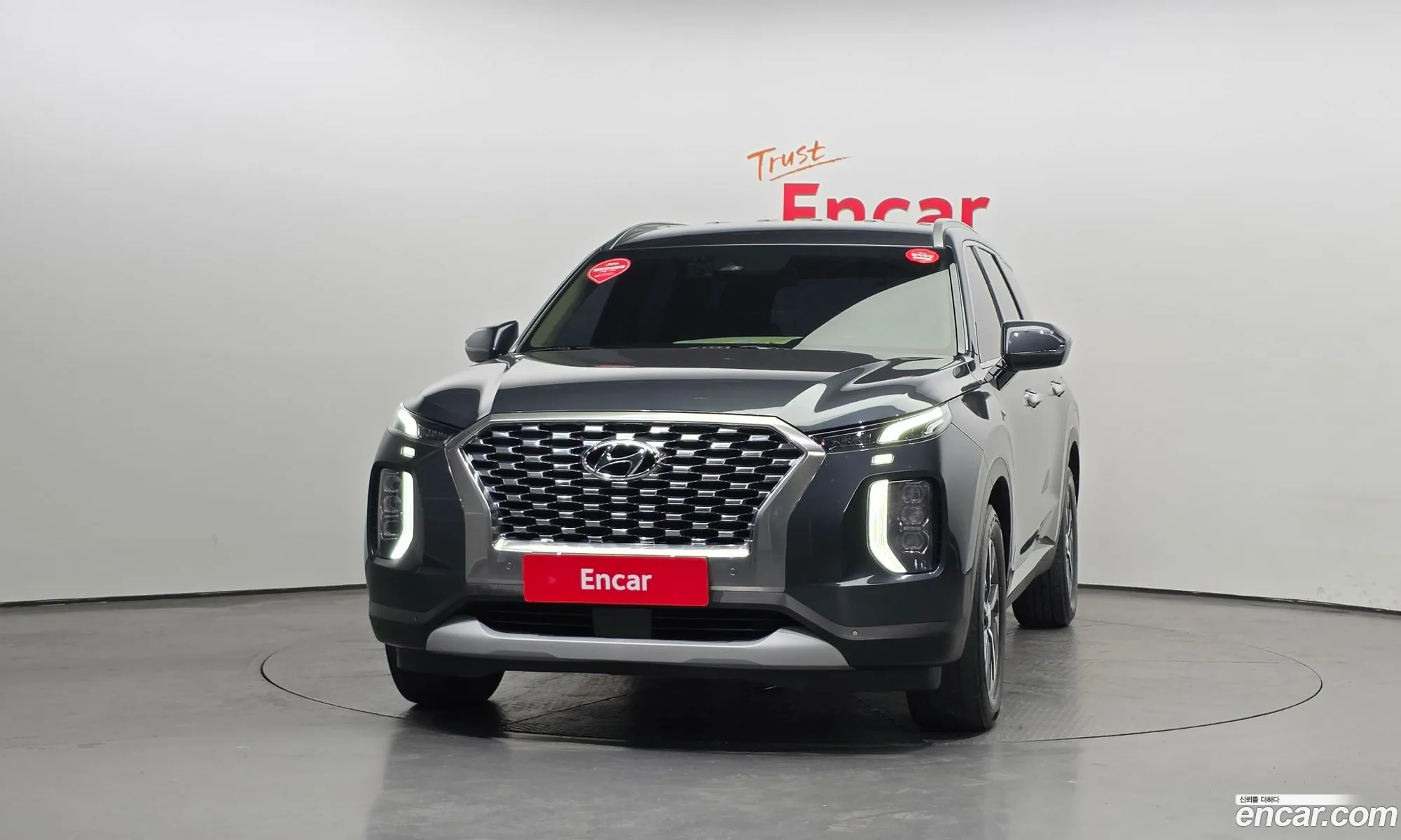Hyundai Palisade 2019 — 10