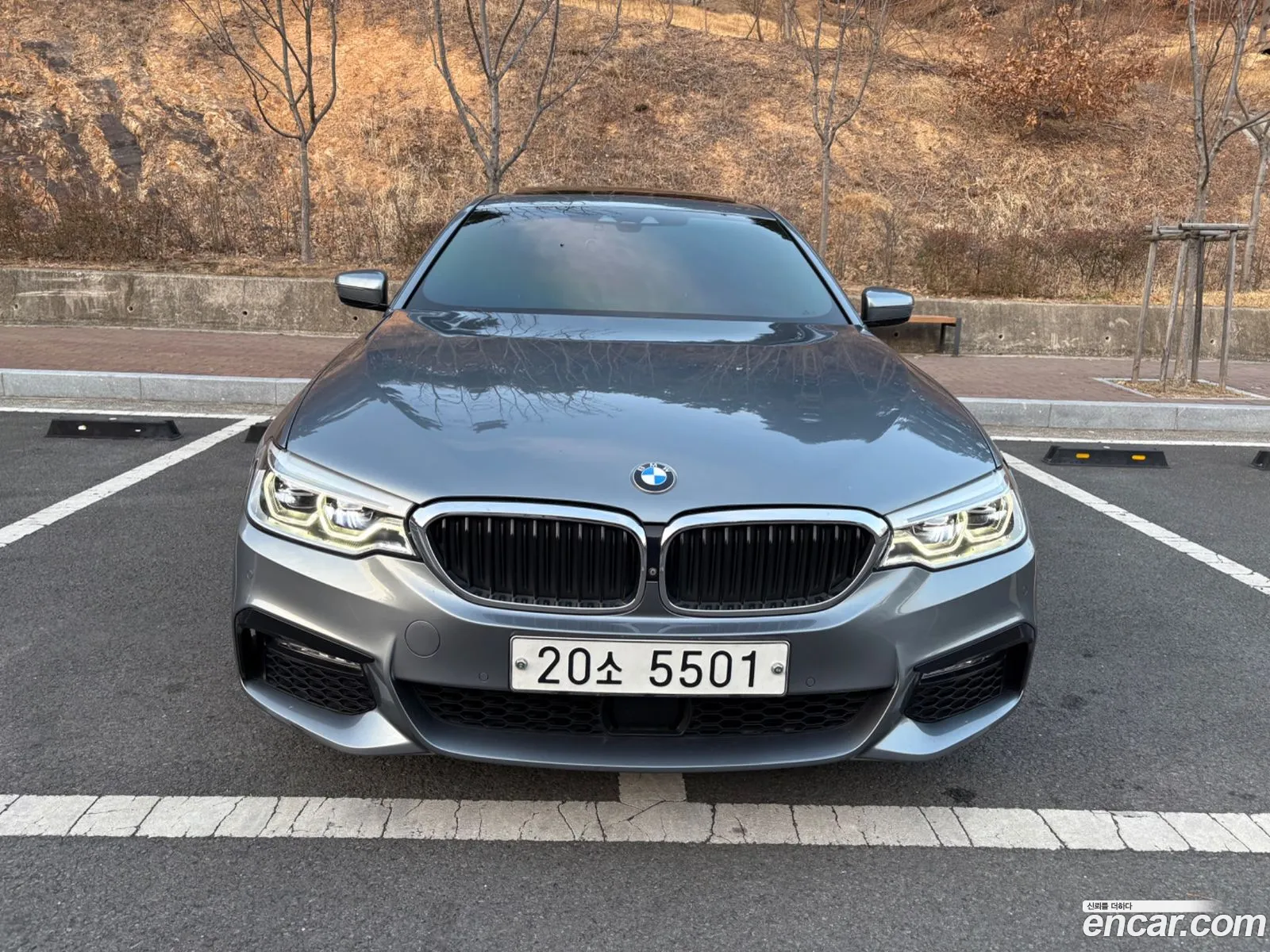 BMW 5 Series 2017 — 9