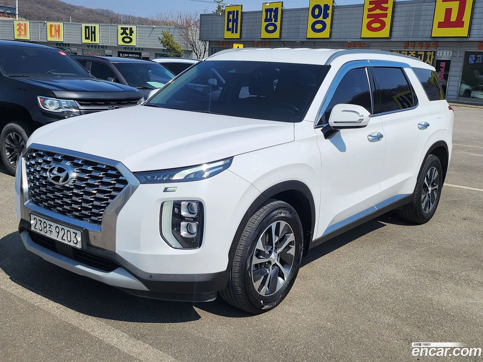 Hyundai Palisade 2019 — 4