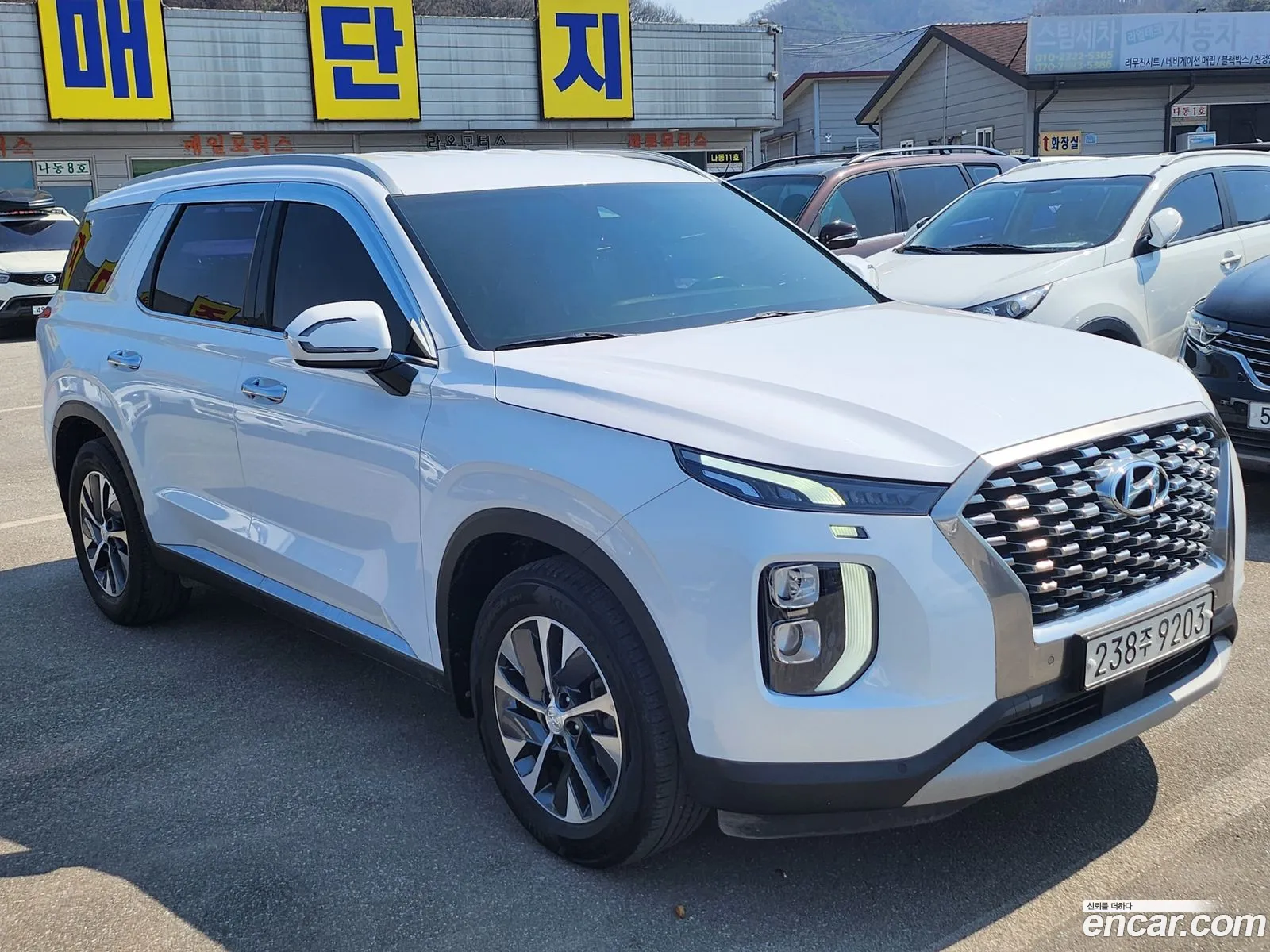 Hyundai Palisade 2019 — 12