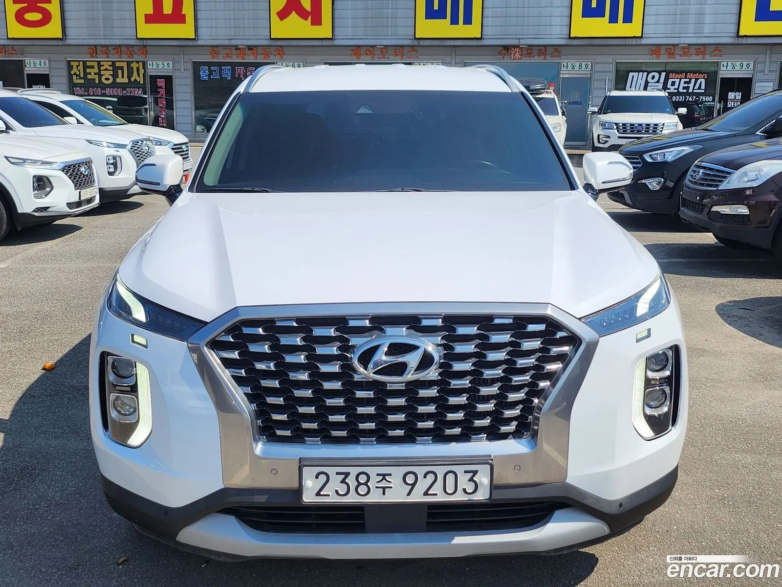 Hyundai Palisade 2019 — 14
