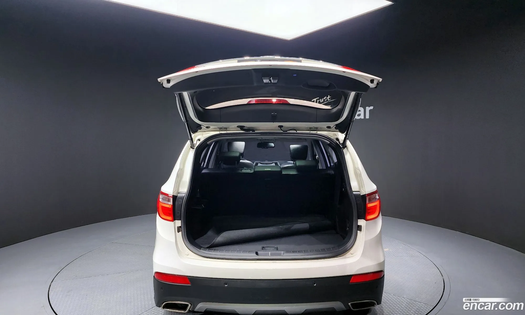 Hyundai Maxcruz 2014 — 17