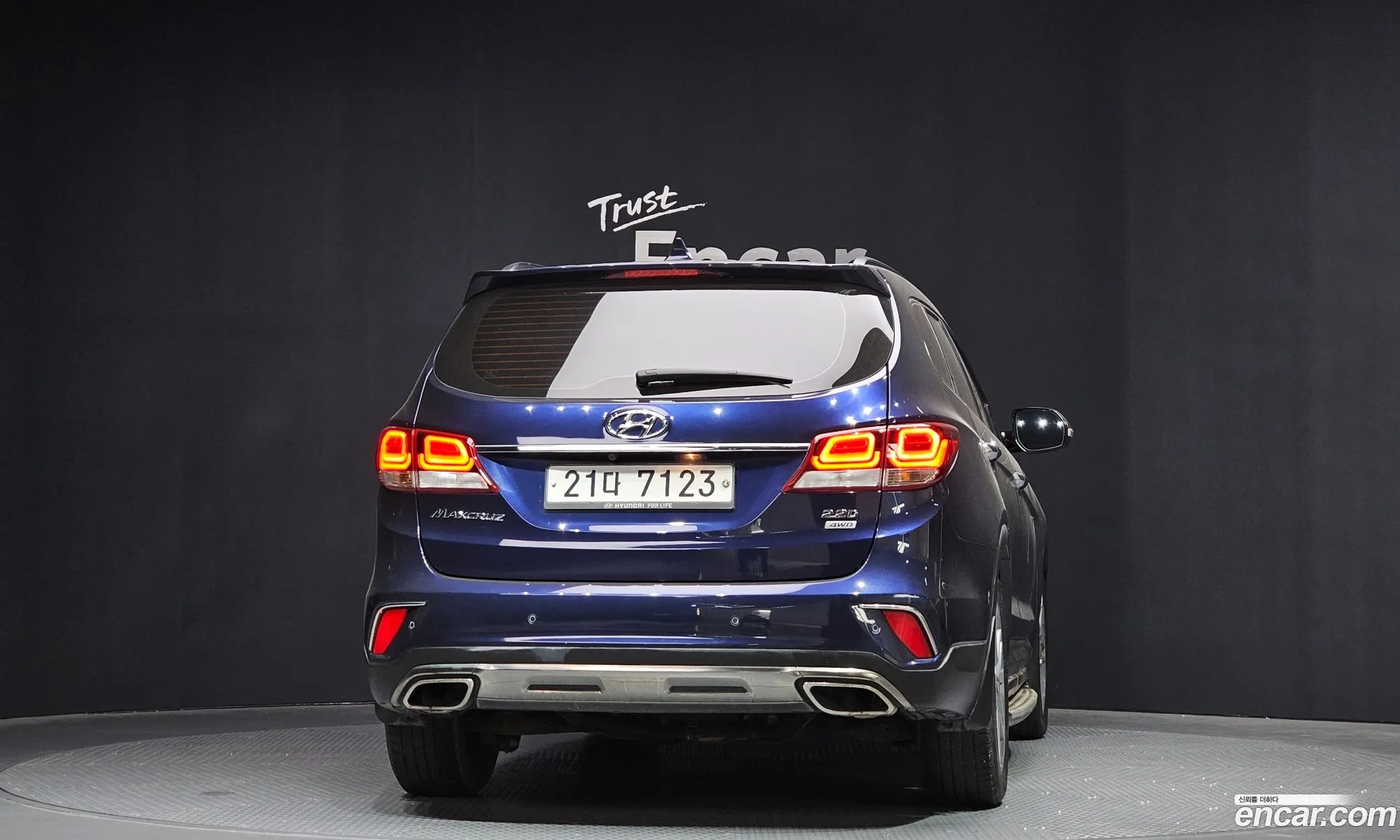Hyundai Maxcruz 2017 — 10