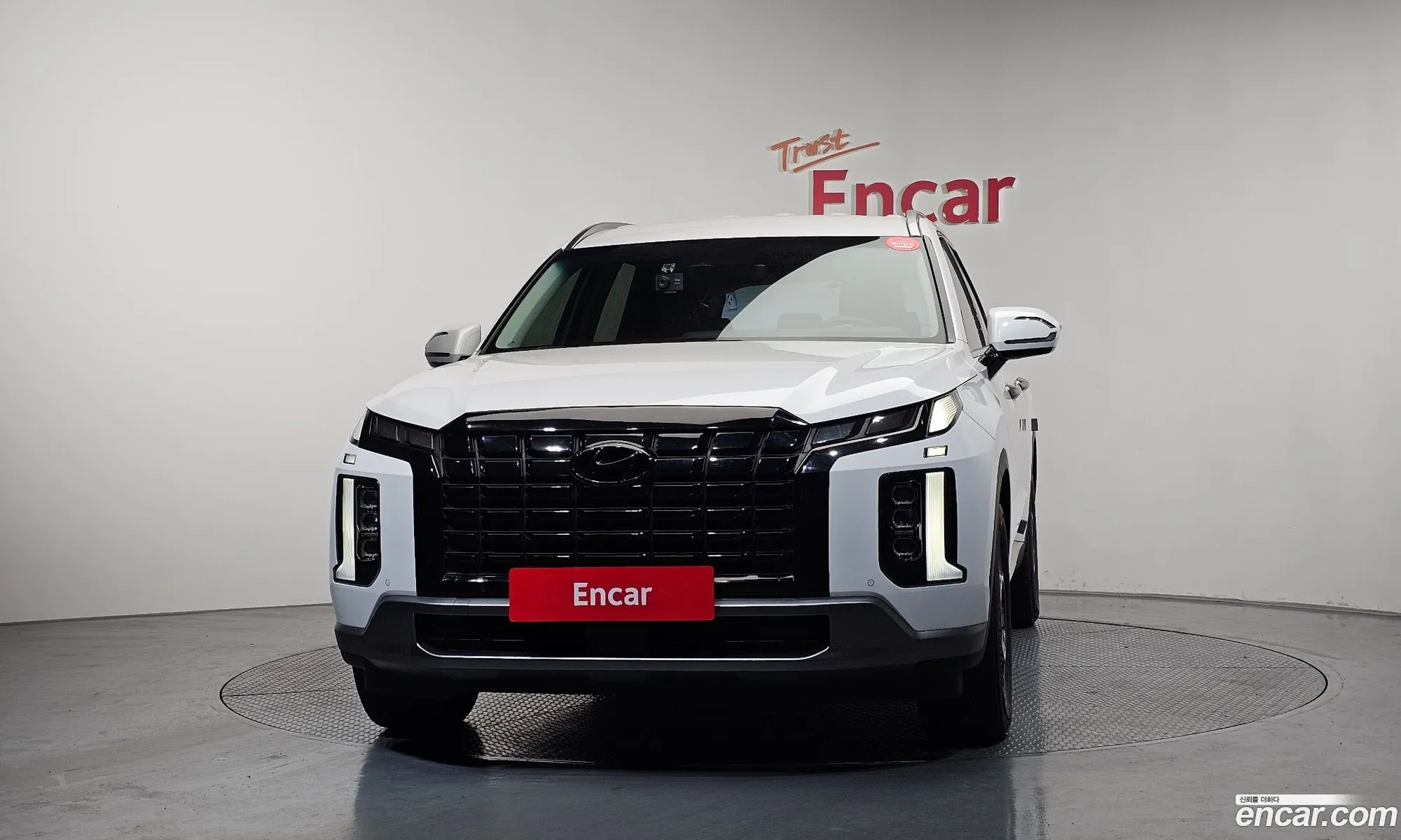 Hyundai Palisade 2022 — 20