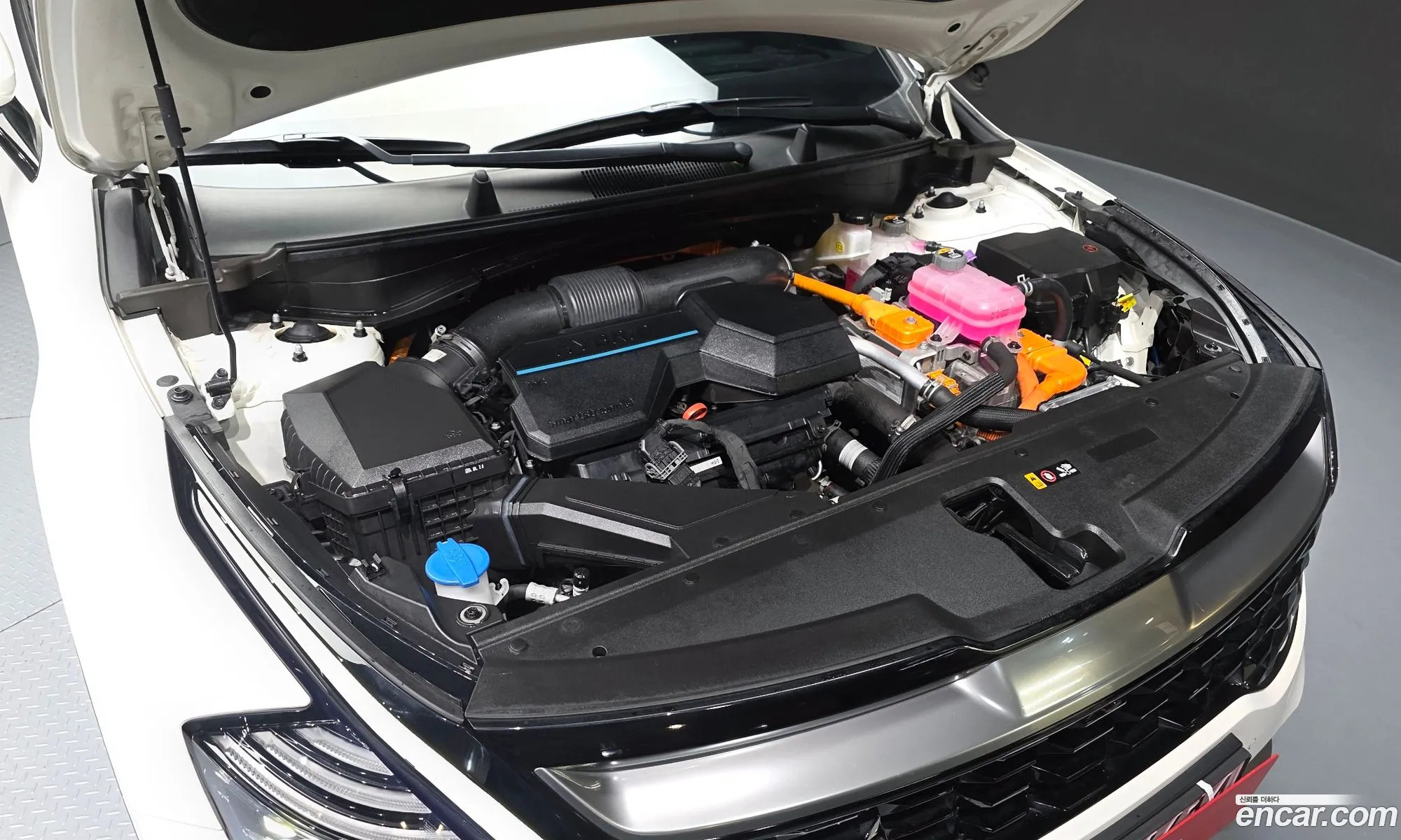 Kia Sportage Hybrid 2024 — 19