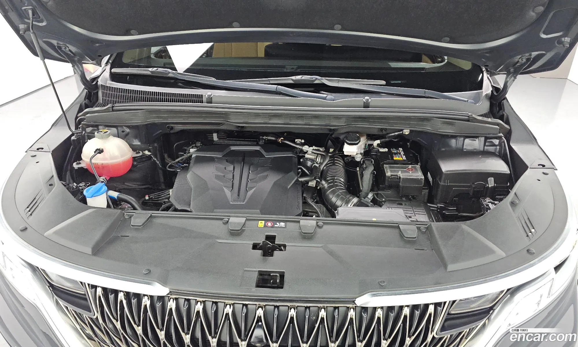 Kia Carnival 2021 — 18