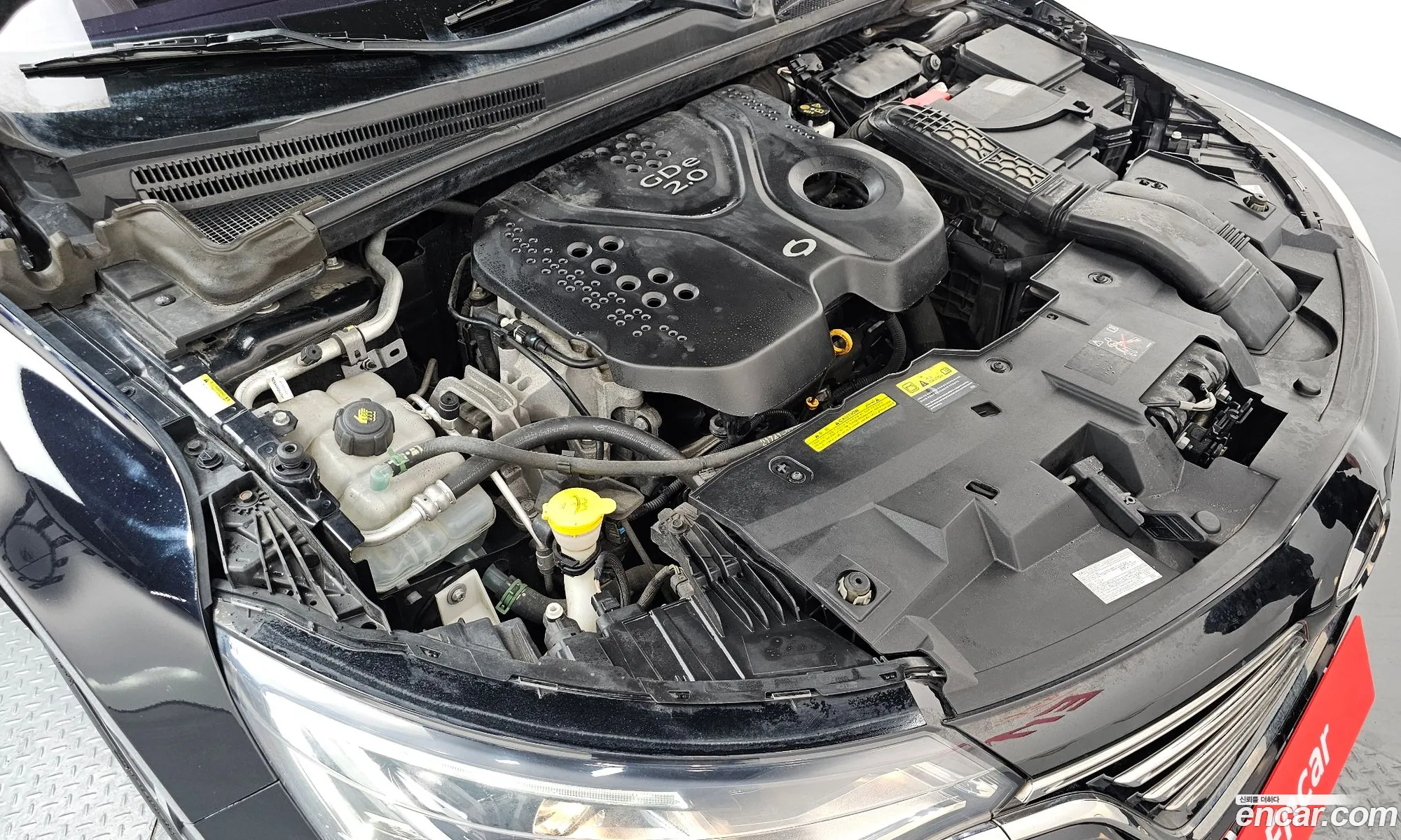 Renault Korea (Samsung) SM6 2016 — 18