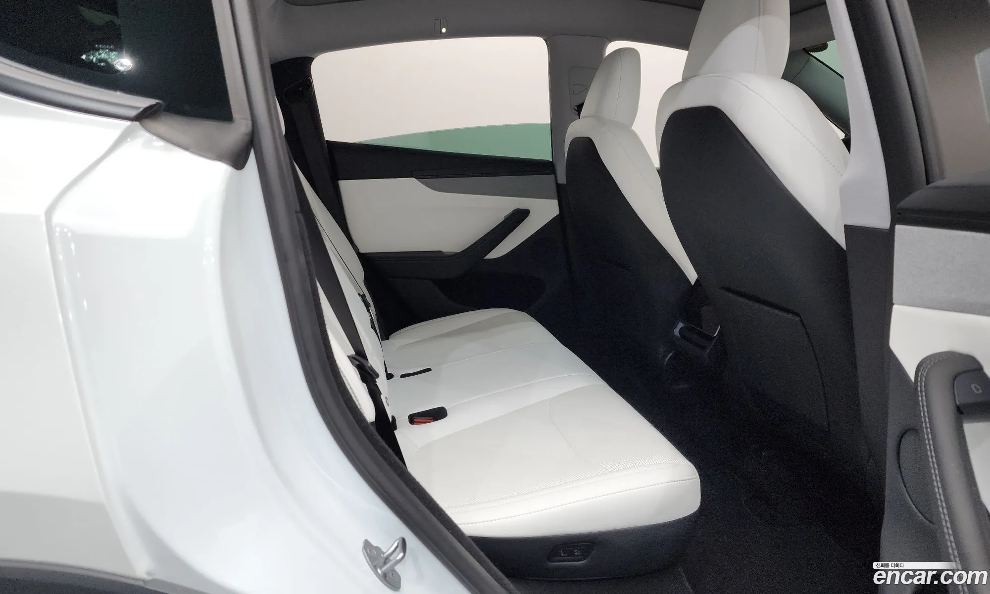 Tesla Model Y 2025 LRWYGCEK7SC077215 — 9