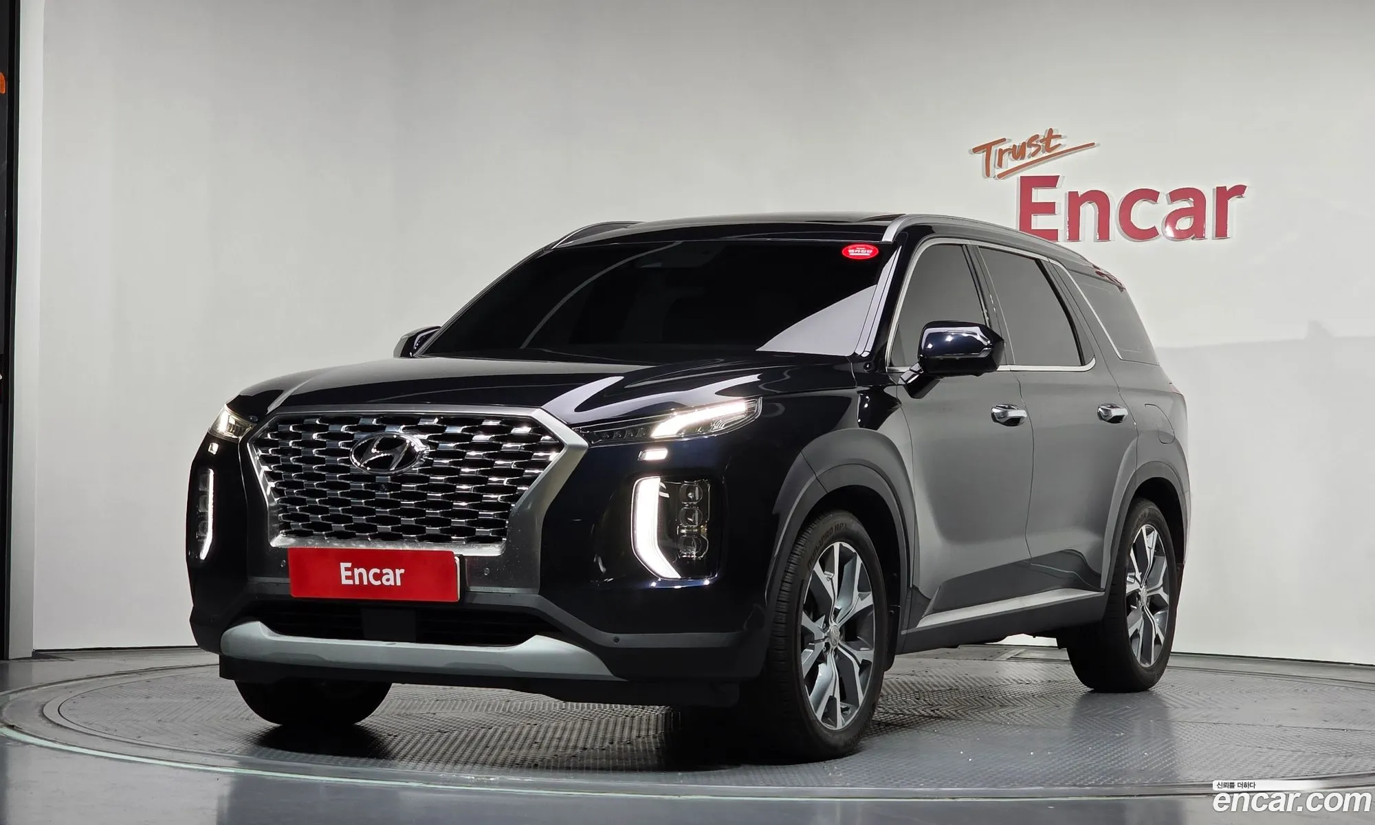 Hyundai Palisade 2019 — 17