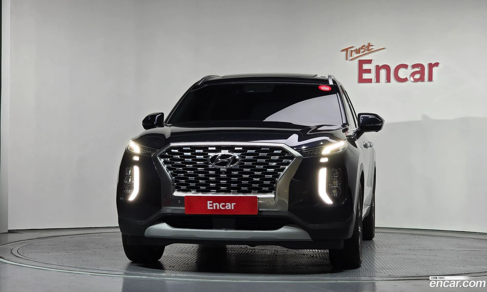 Hyundai Palisade 2019 — 9