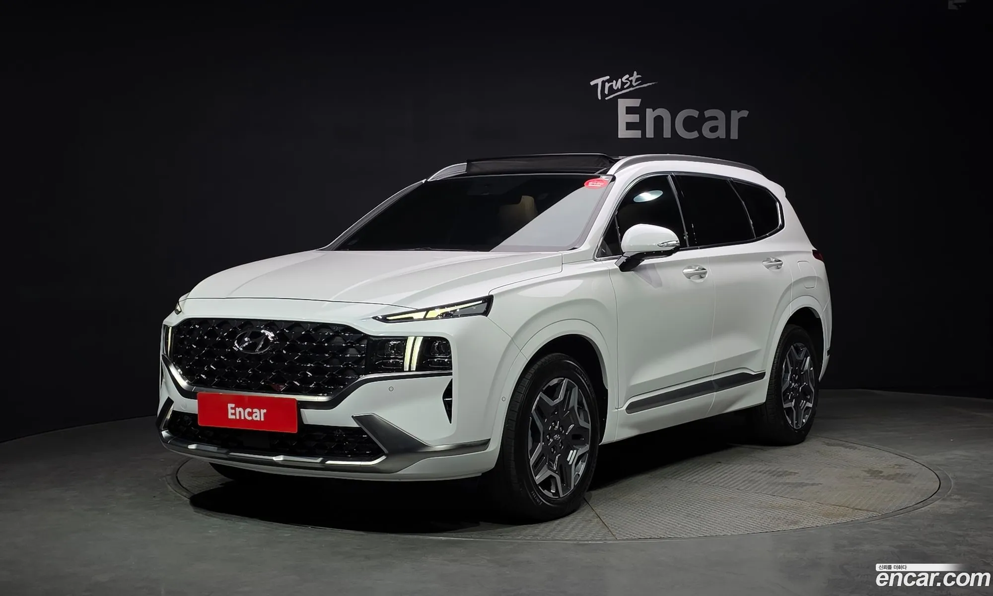 Hyundai Santa Fe 2022 — 10