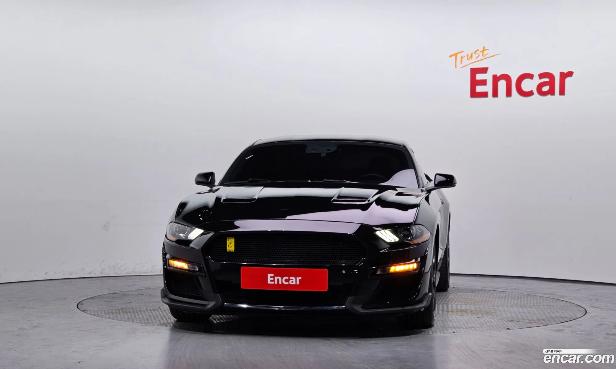 Ford Mustang 2019 1FA6P8TH — 12