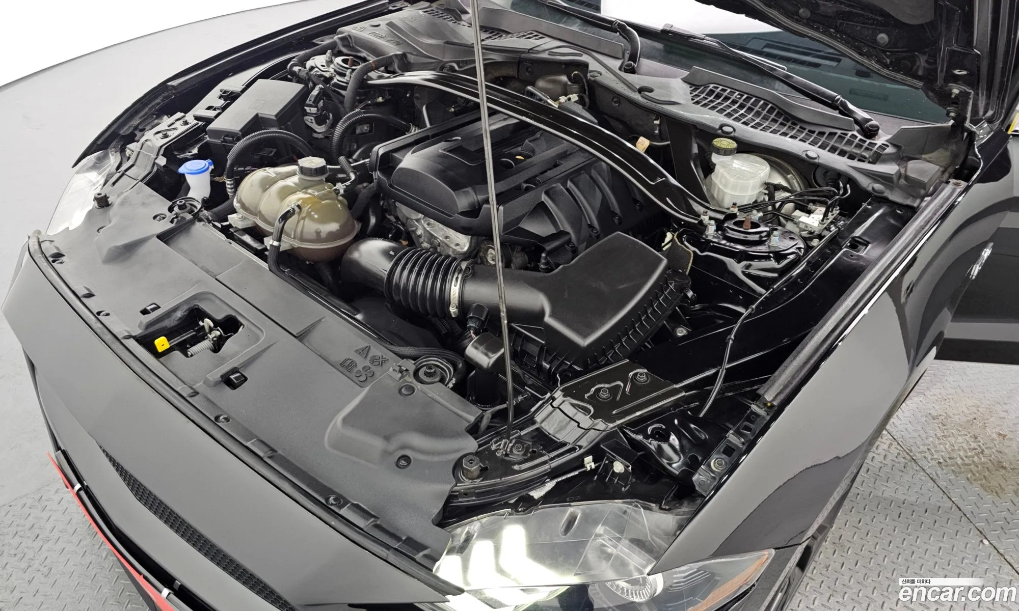 Ford Mustang 2019 1FA6P8TH — 15
