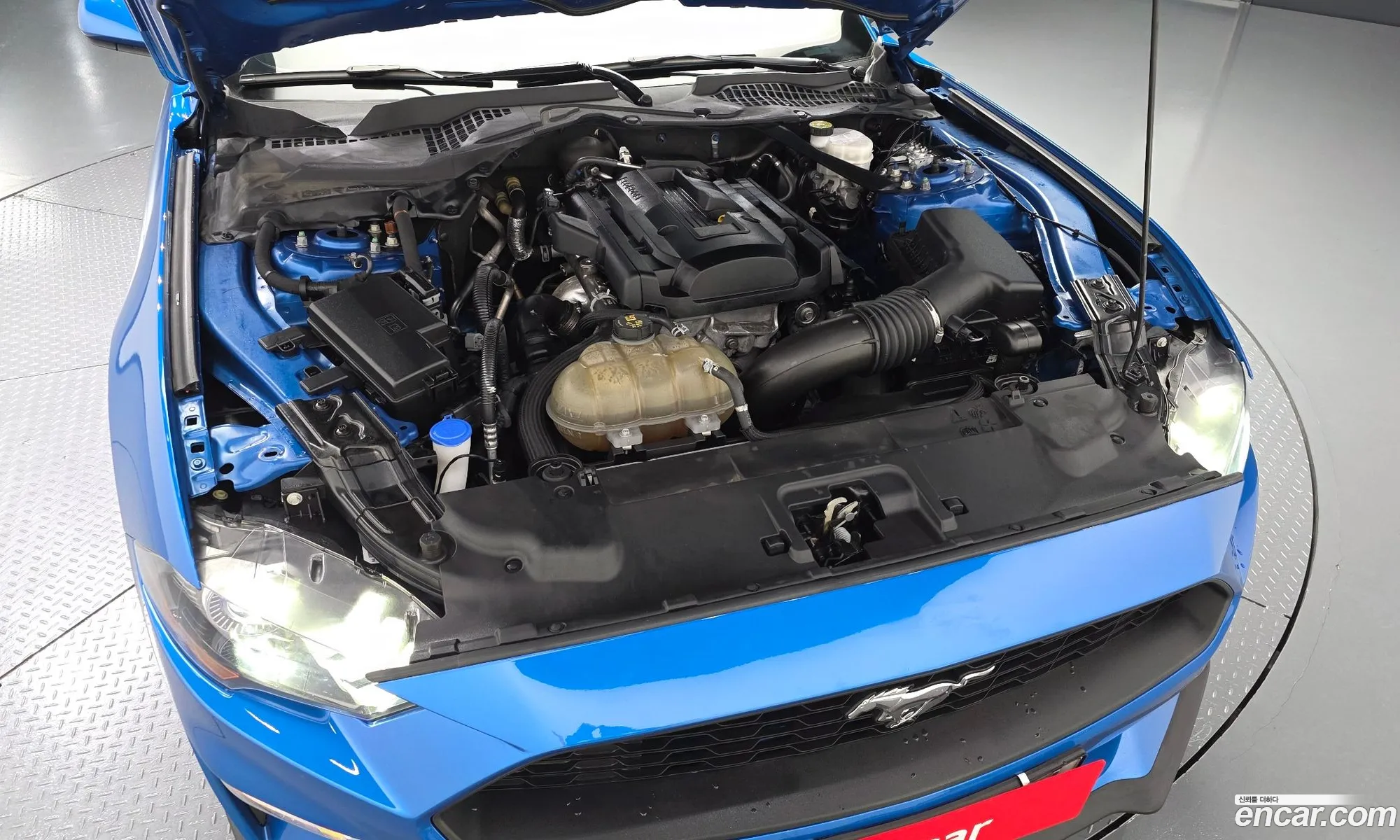 Ford Mustang 2021 — 15