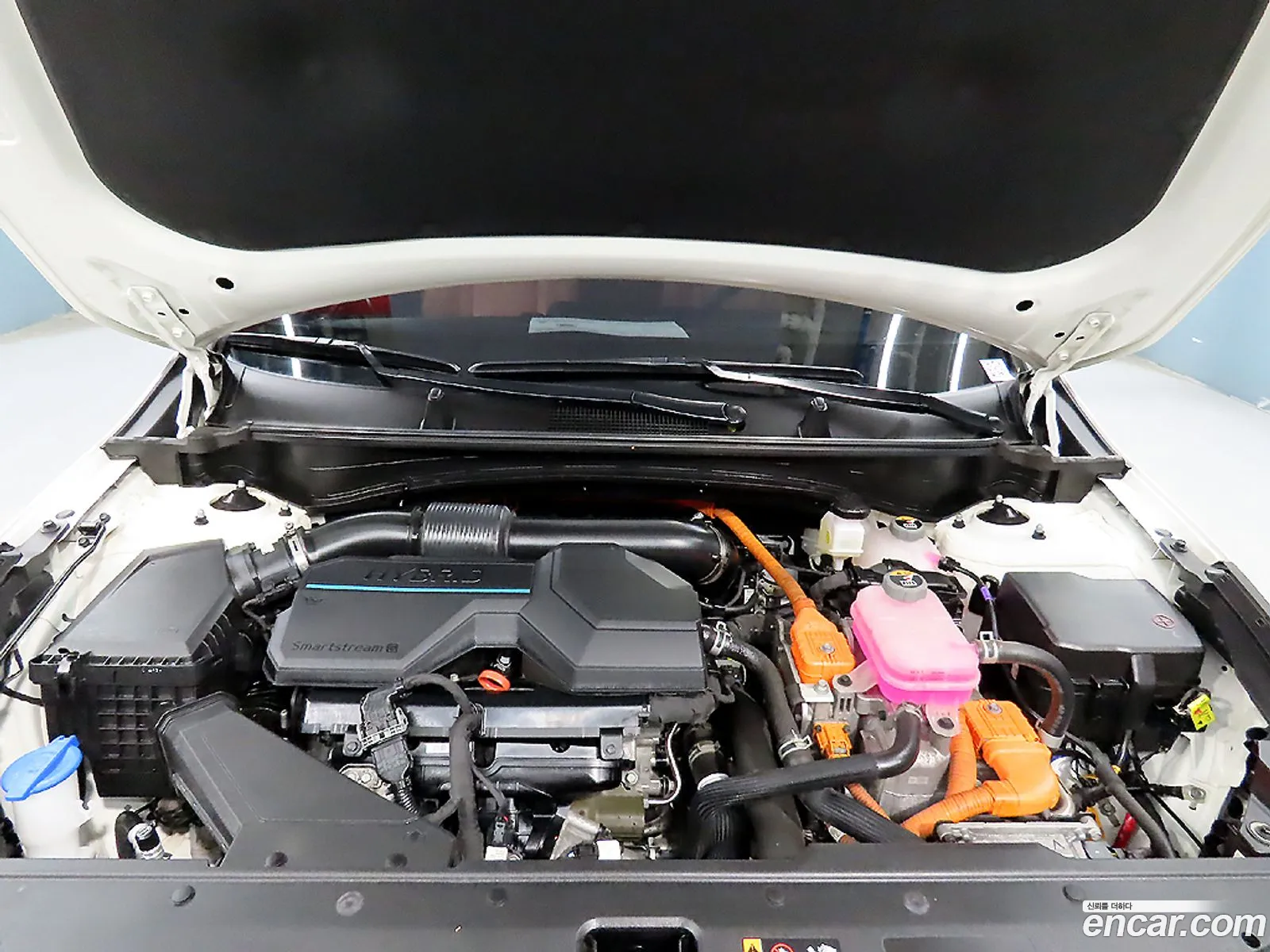 Kia Sportage Hybrid 2022 — 16